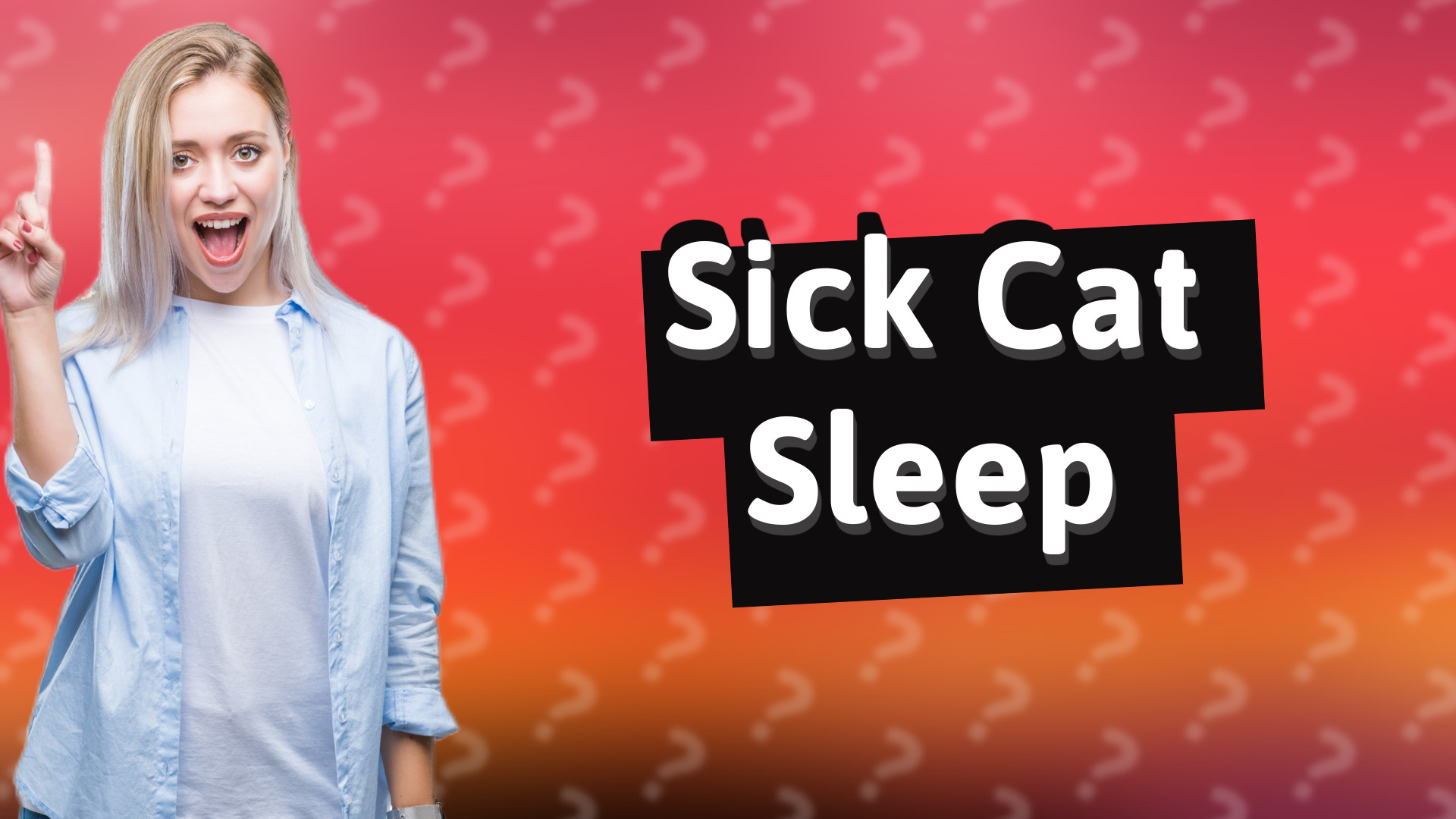 Sick Cat Sleep