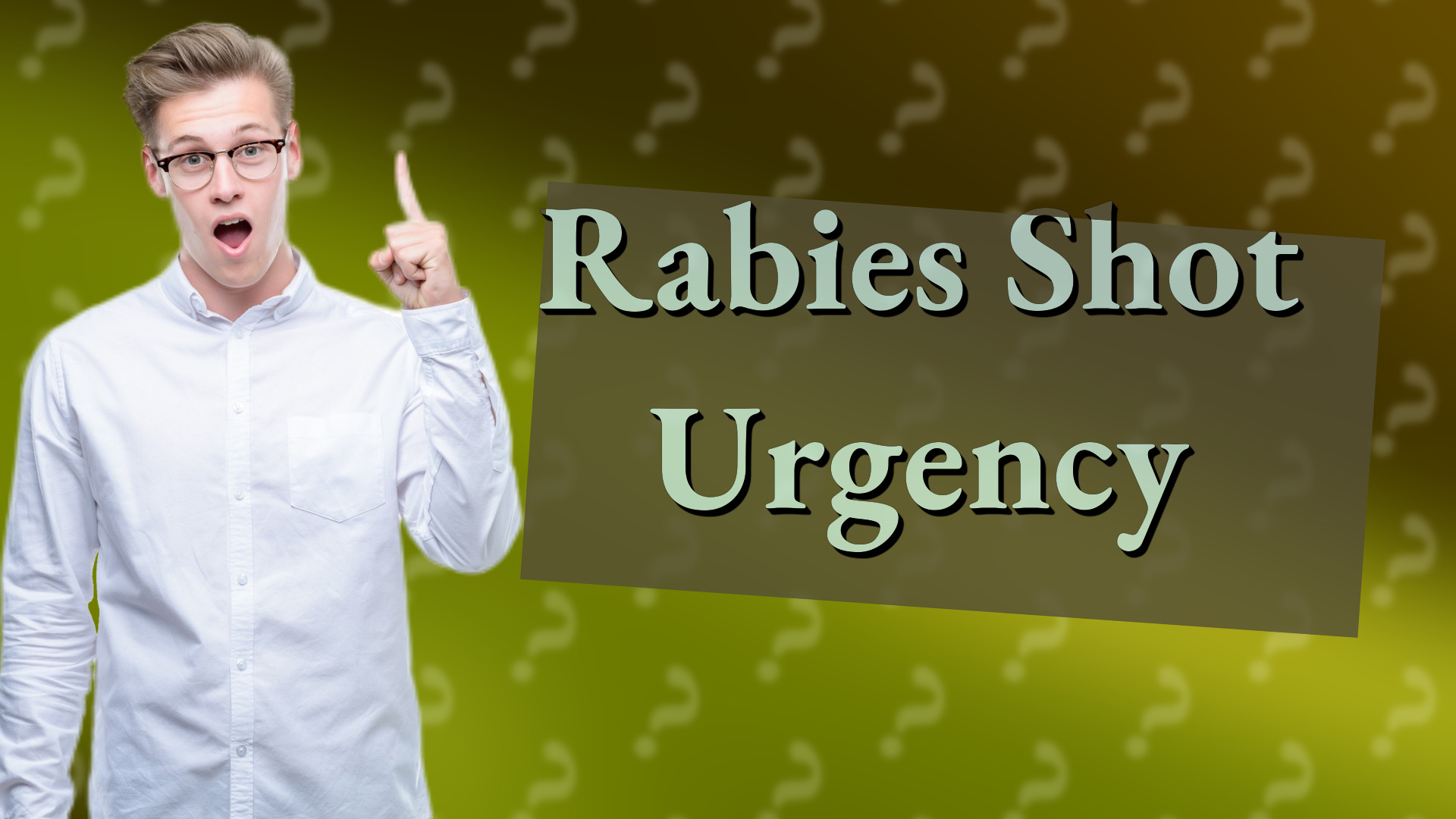 Rabies Shot Urgency