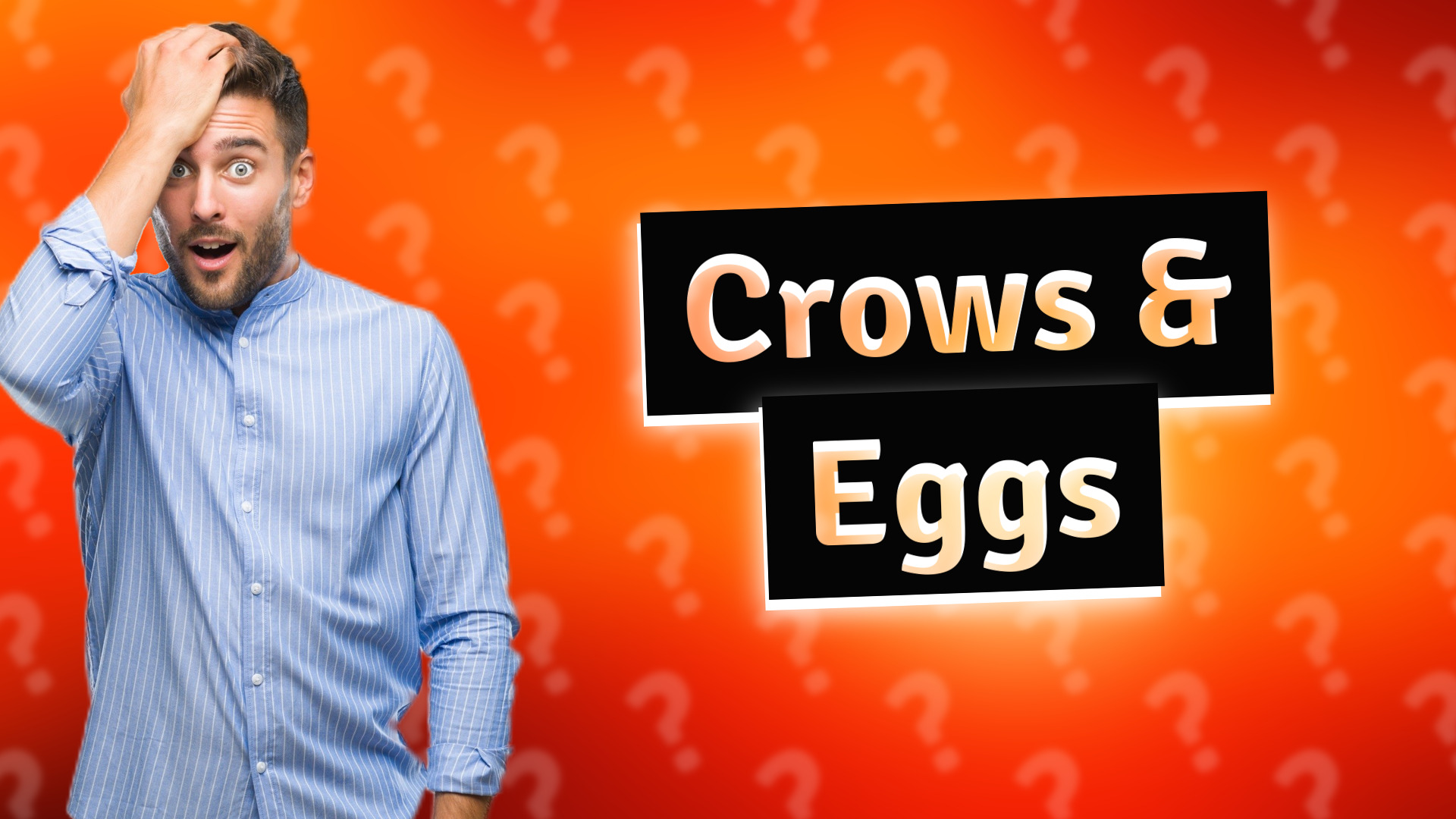Crows & Eggs