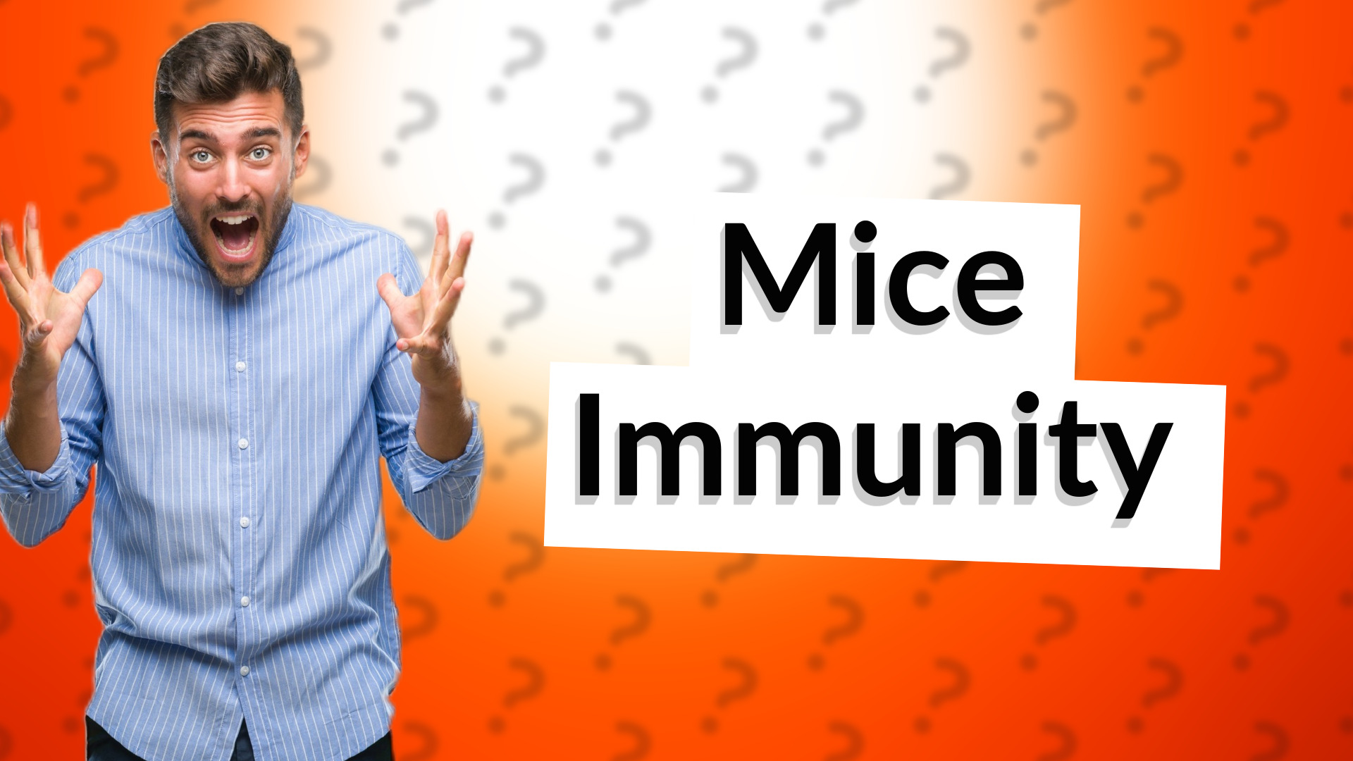 Mice Immunity