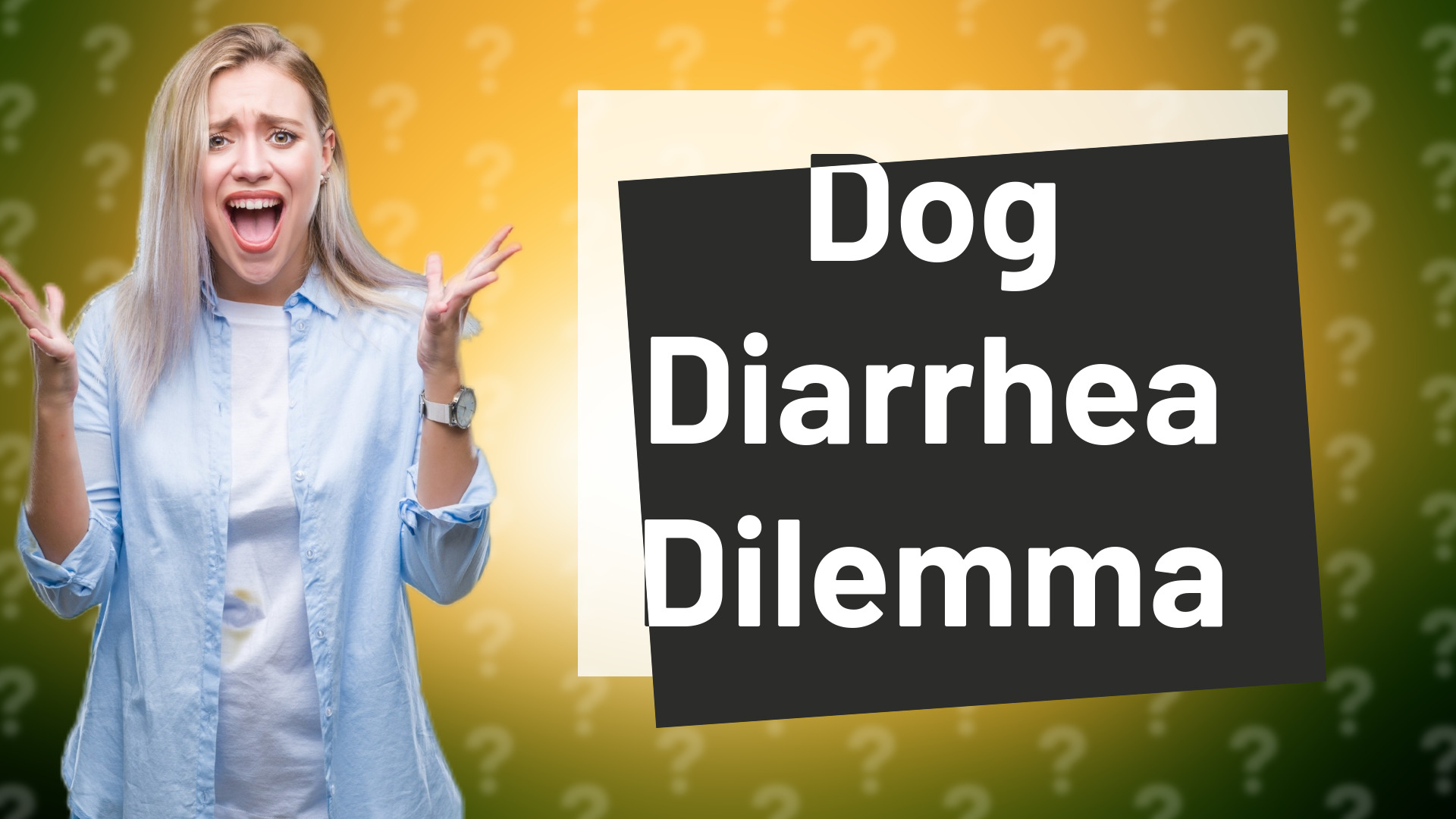 Dog Diarrhea Dilemma