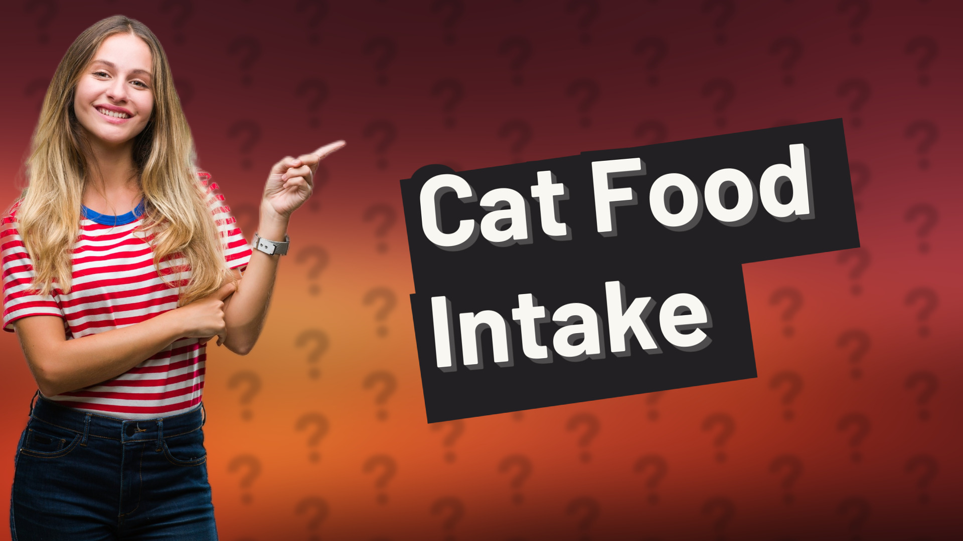 Cat Food Intake