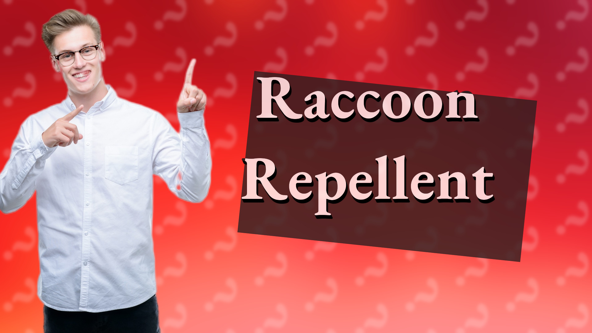 Raccoon Repellent