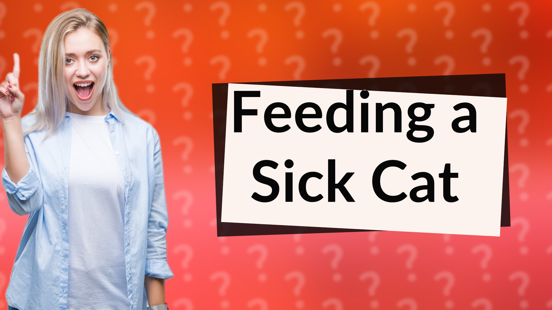 Feeding a Sick Cat