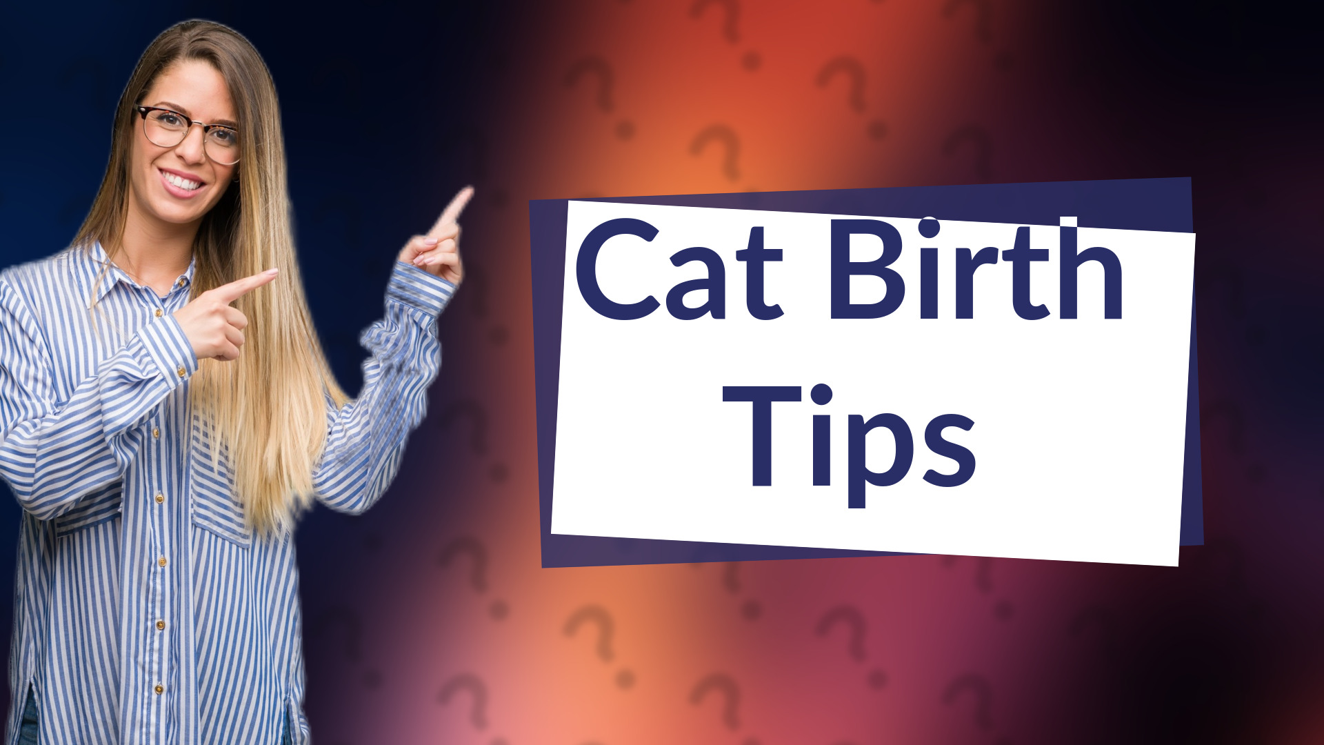 Cat Birth Tips
