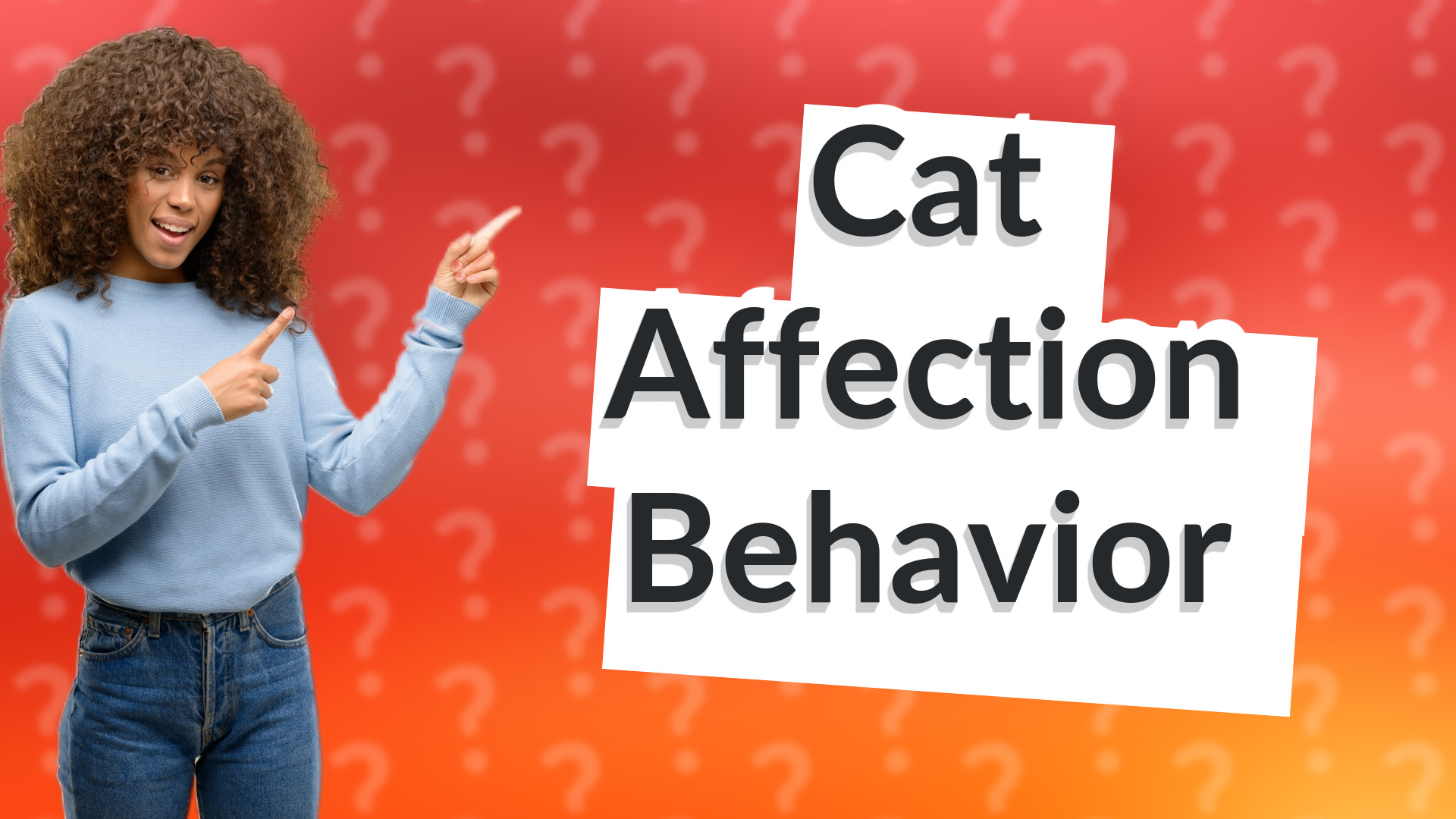 Cat Affection Behavior