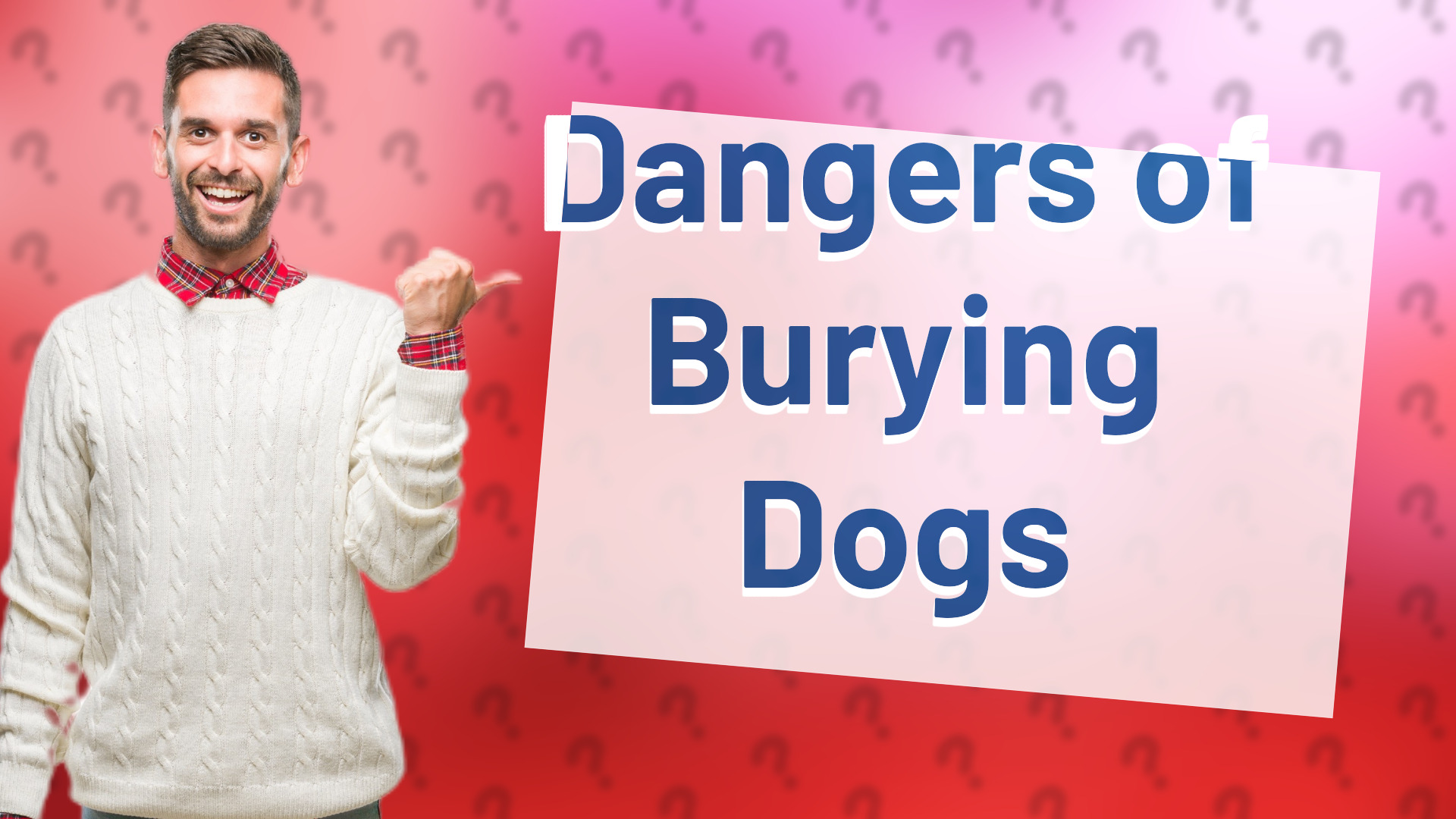 Dangers of Burying Dogs