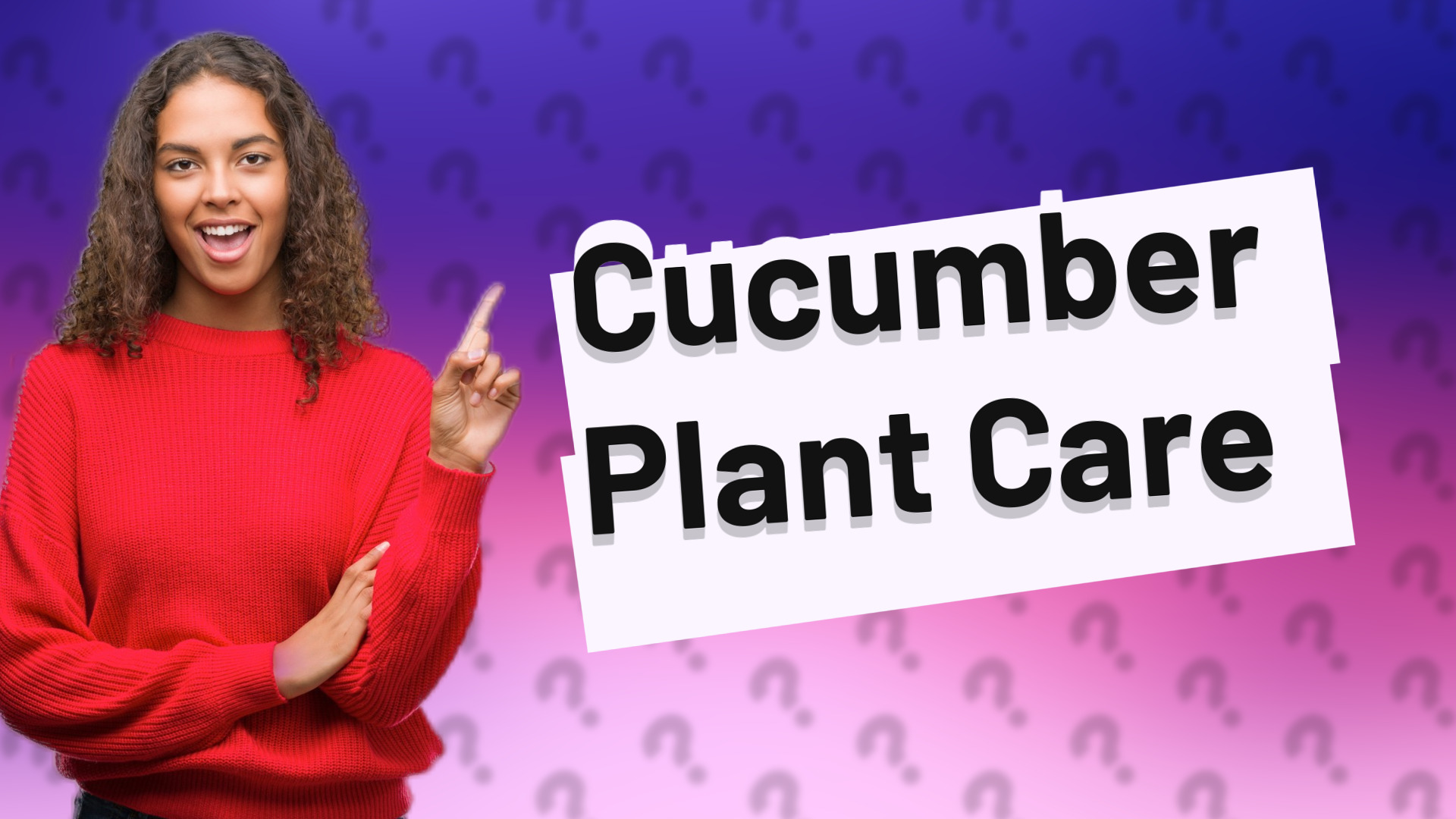 Cucumber Plant Care