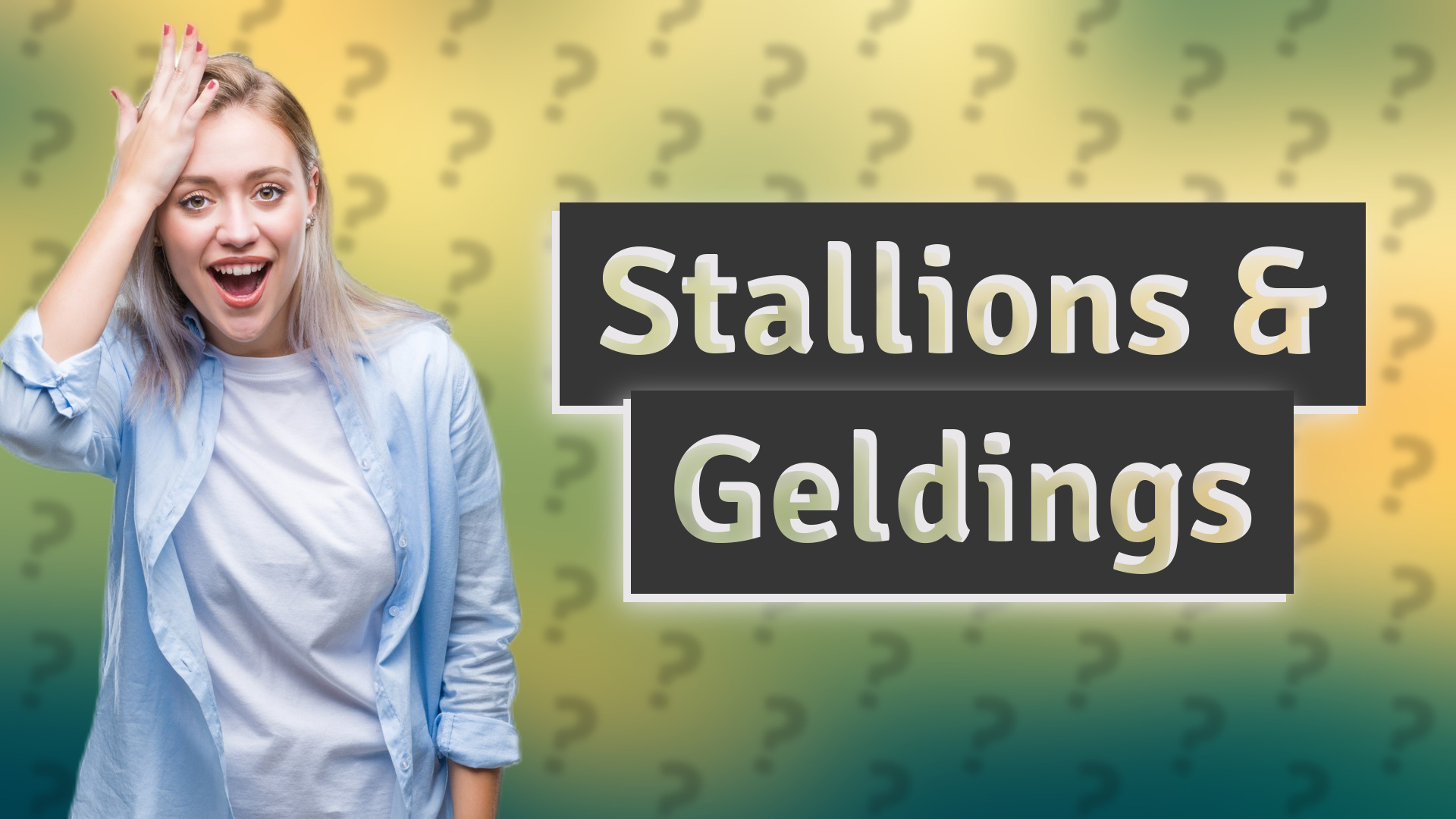 Stallions & Geldings