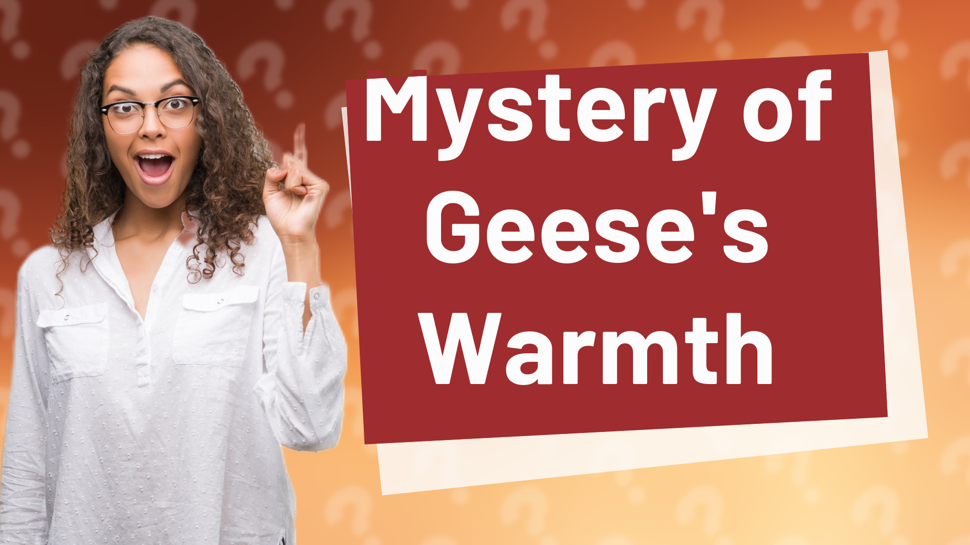 Mystery of Geese's Warmth
