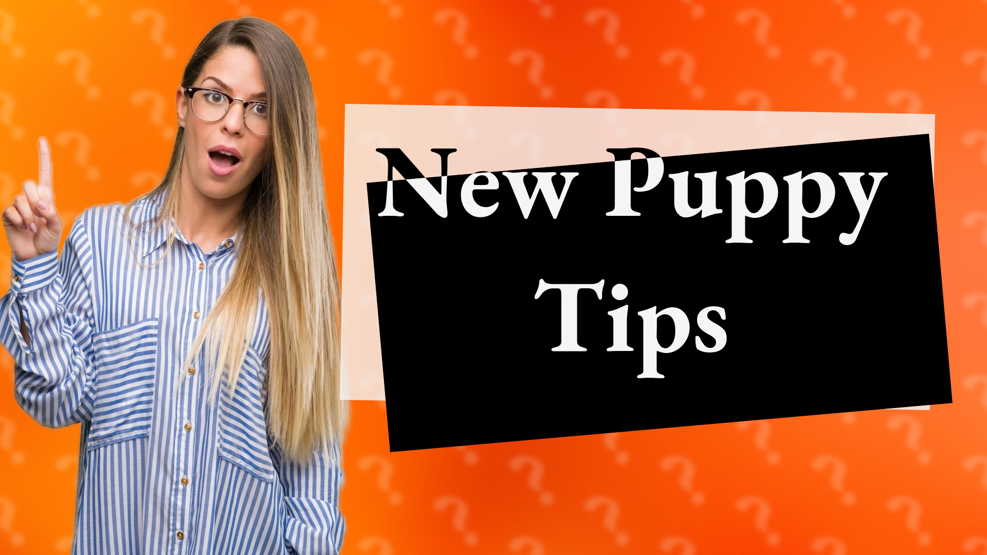 New Puppy Tips