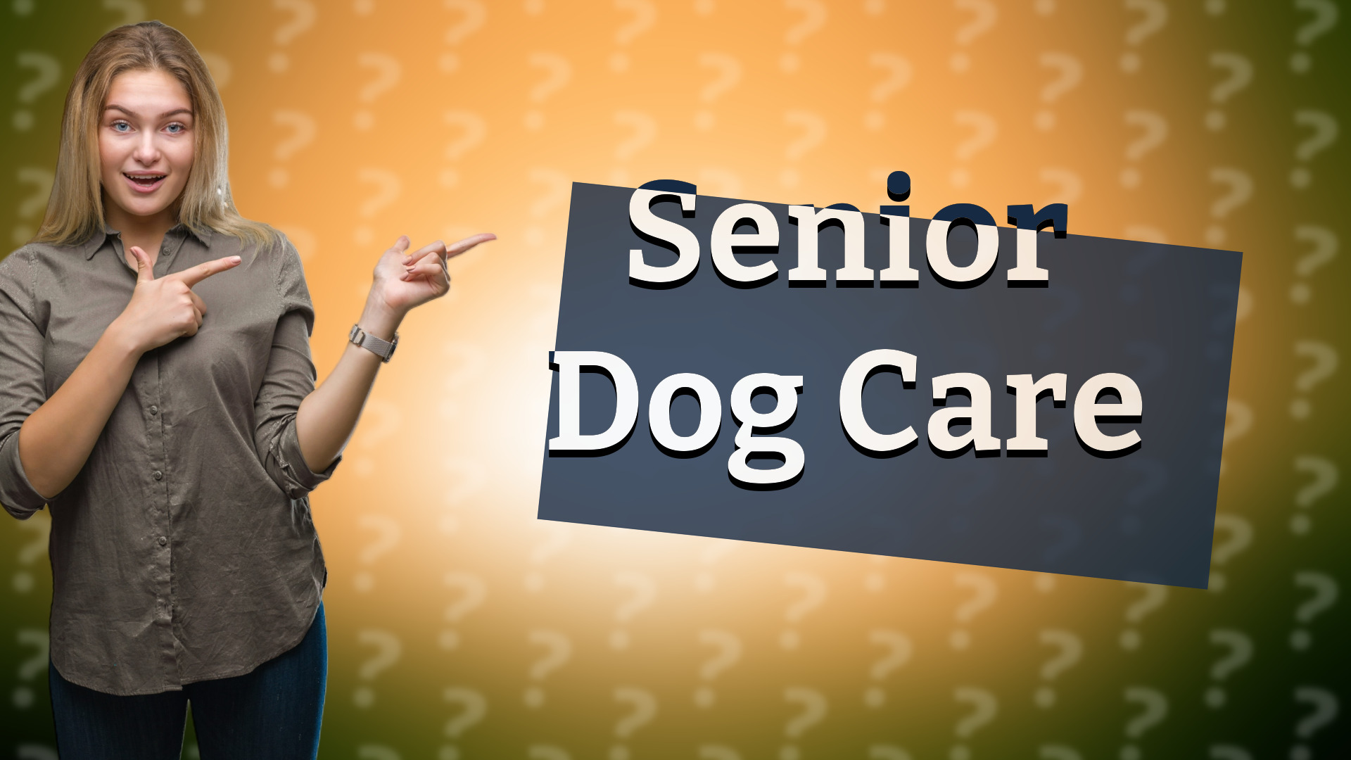 Senior Dog Care