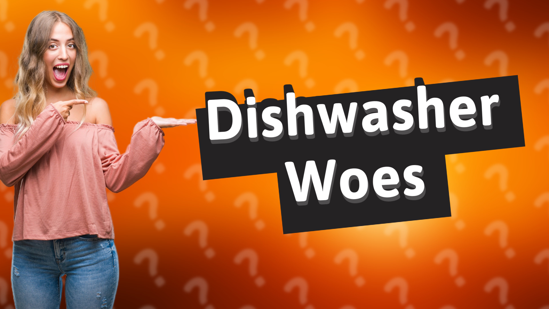 Dishwasher Woes