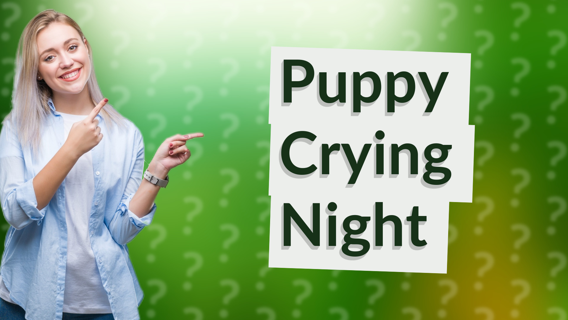 Puppy Crying Night