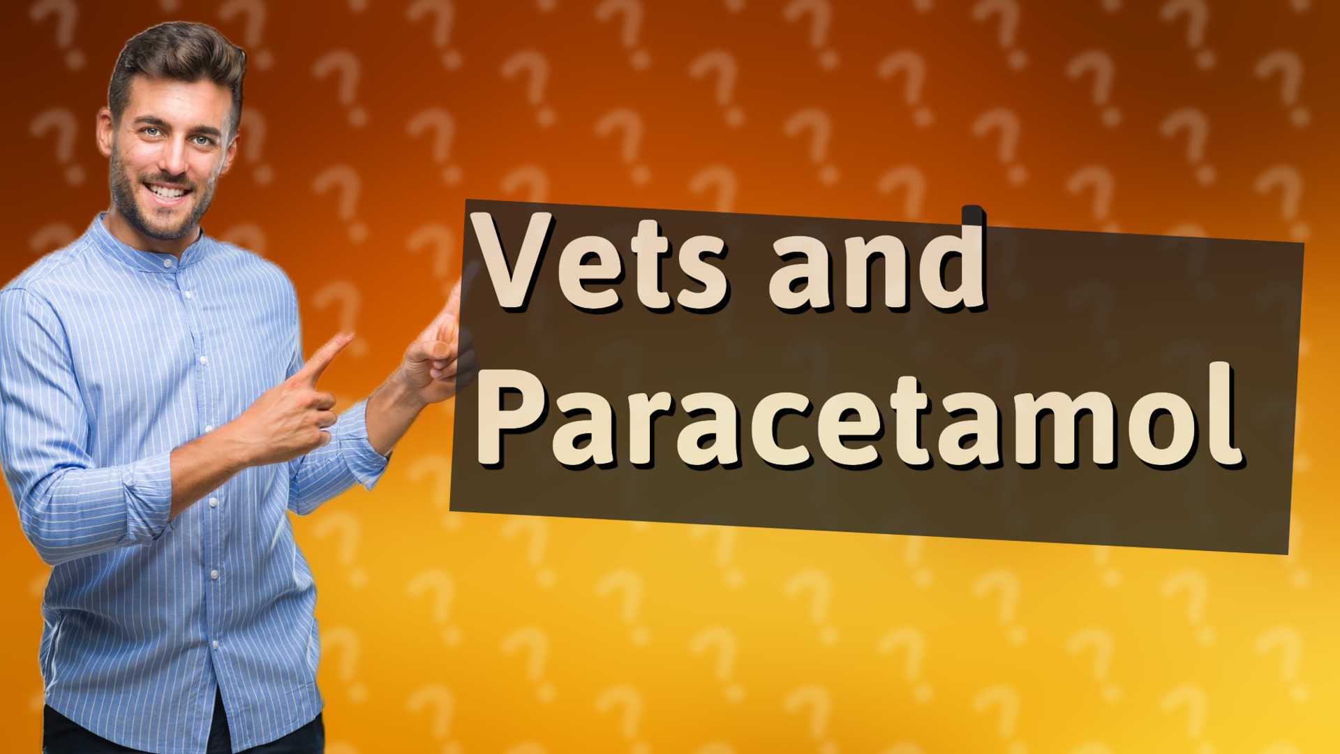 Vets and Paracetamol