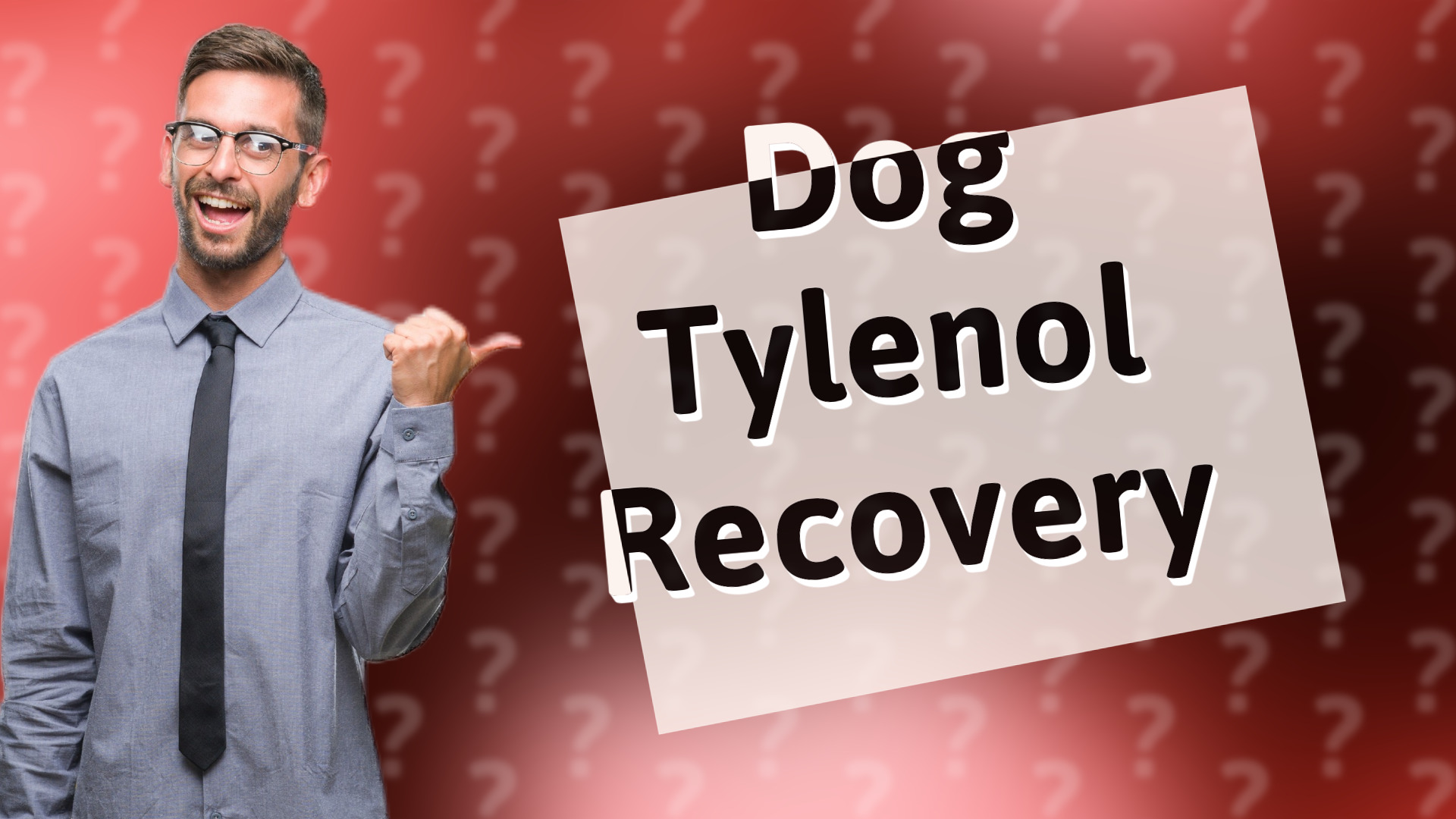 Dog Tylenol Recovery