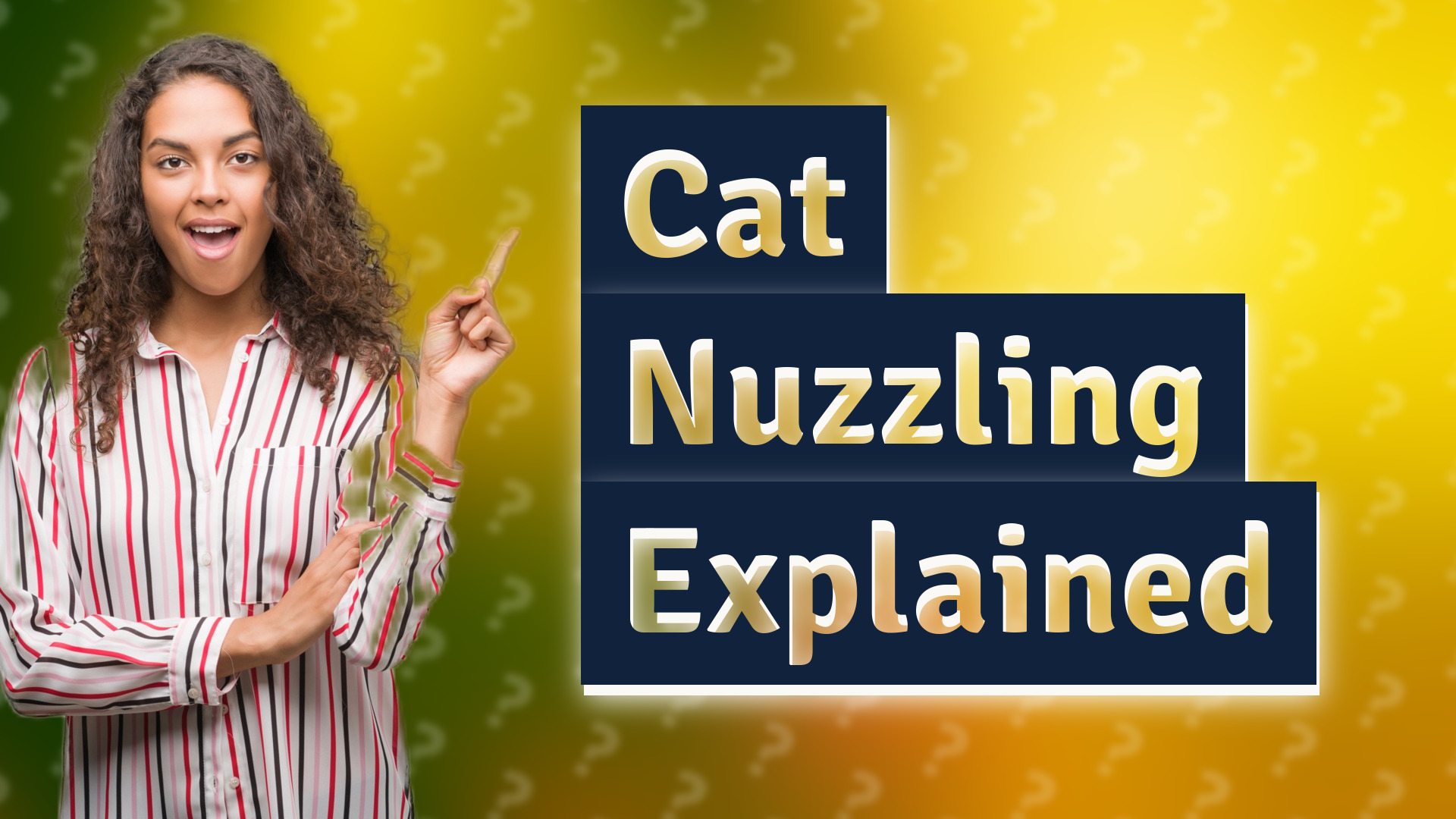 Cat Nuzzling Explained