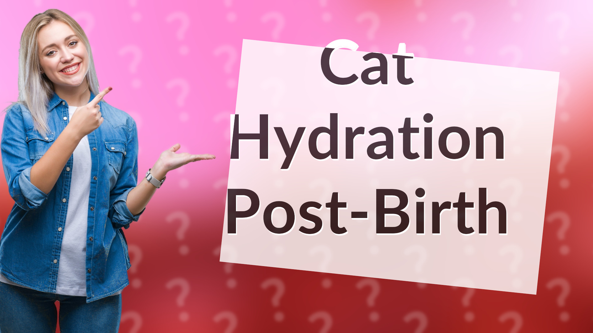 Cat Hydration Post-Birth