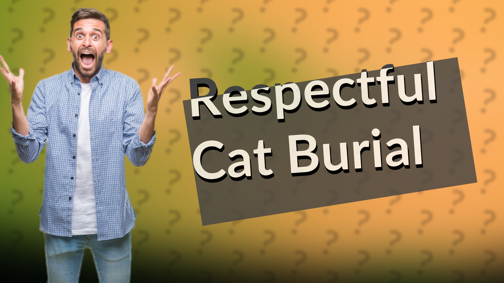 Respectful Cat Burial
