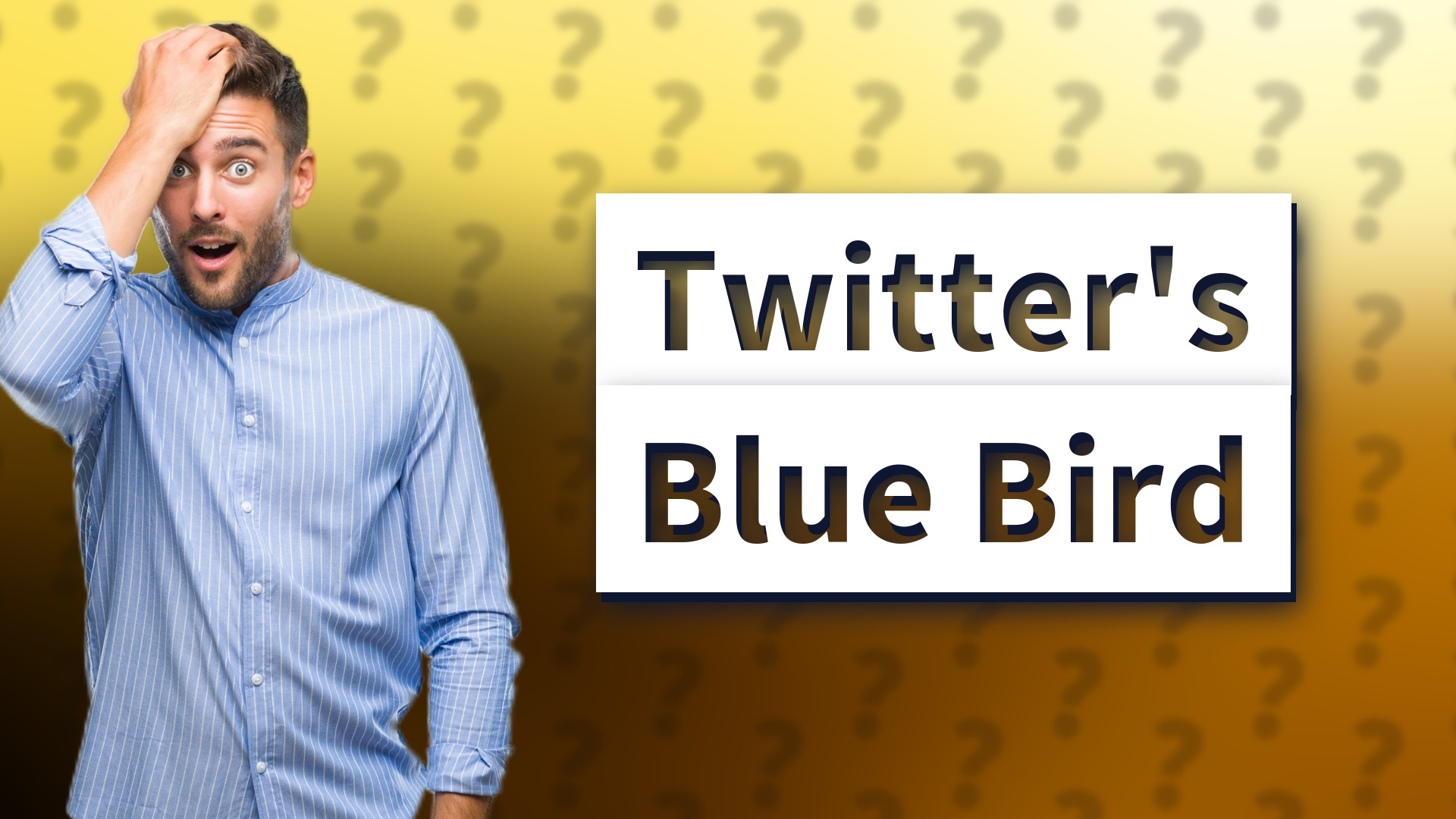 Twitter's Blue Bird
