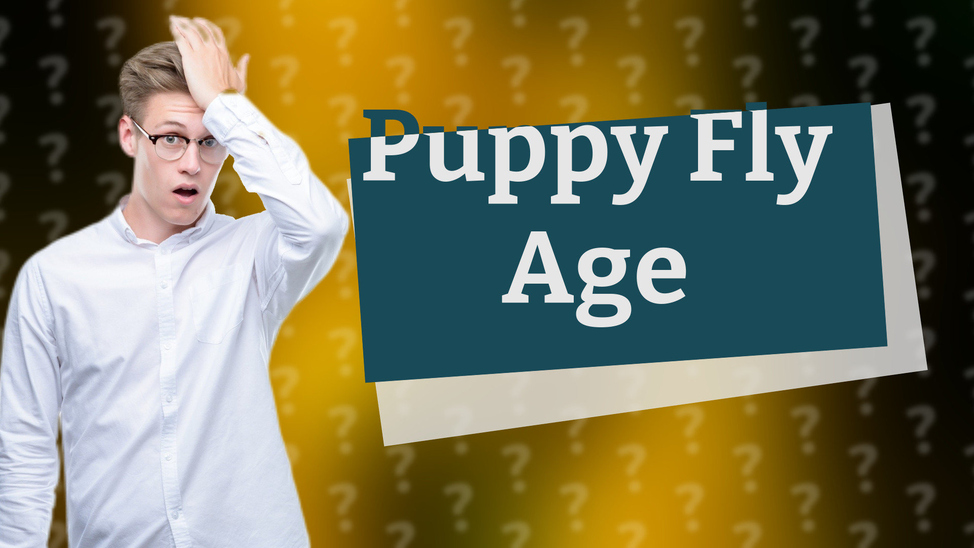 Puppy Fly Age