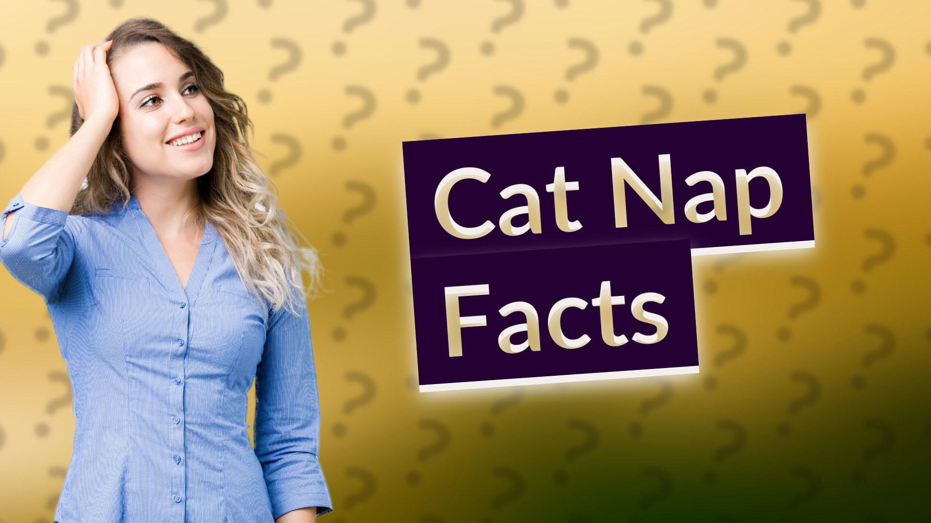 Cat Nap Facts
