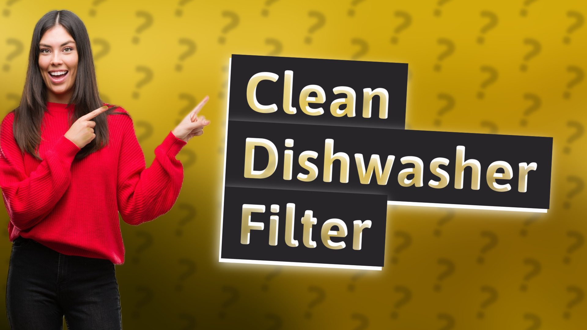 Clean Dishwasher Filter