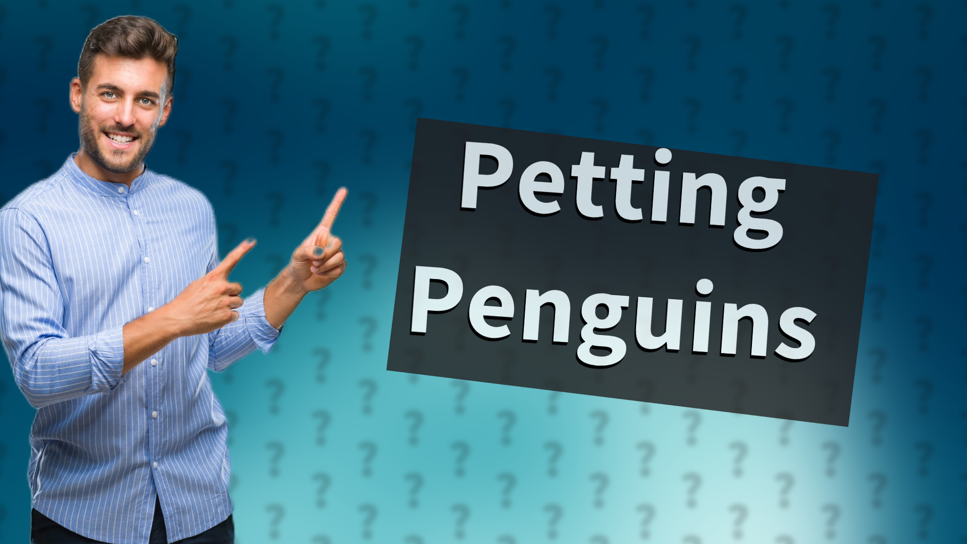 Petting Penguins