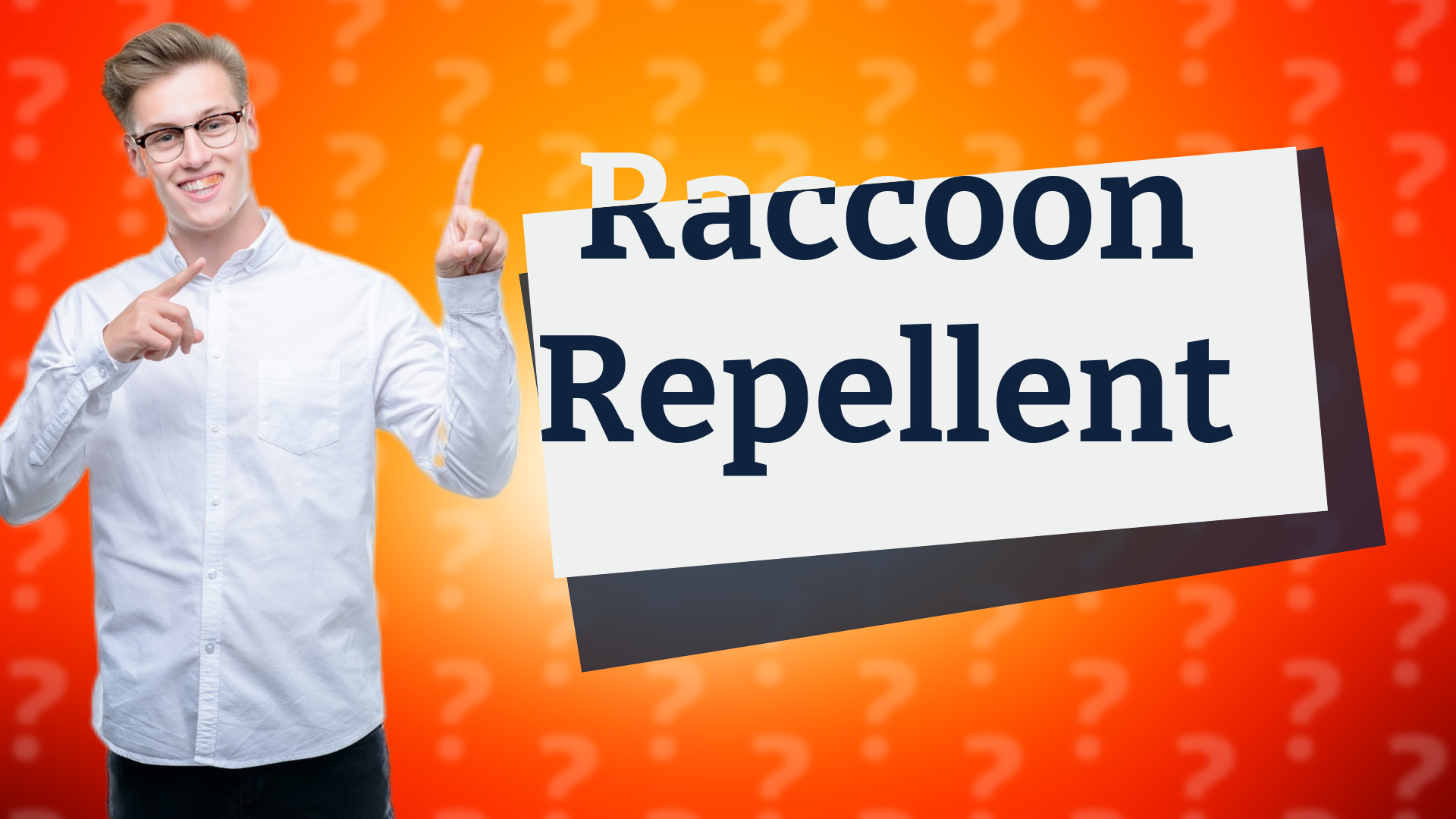 Raccoon Repellent
