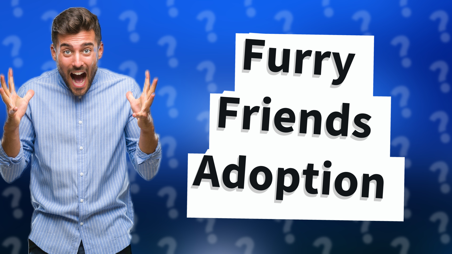 Furry Friends Adoption