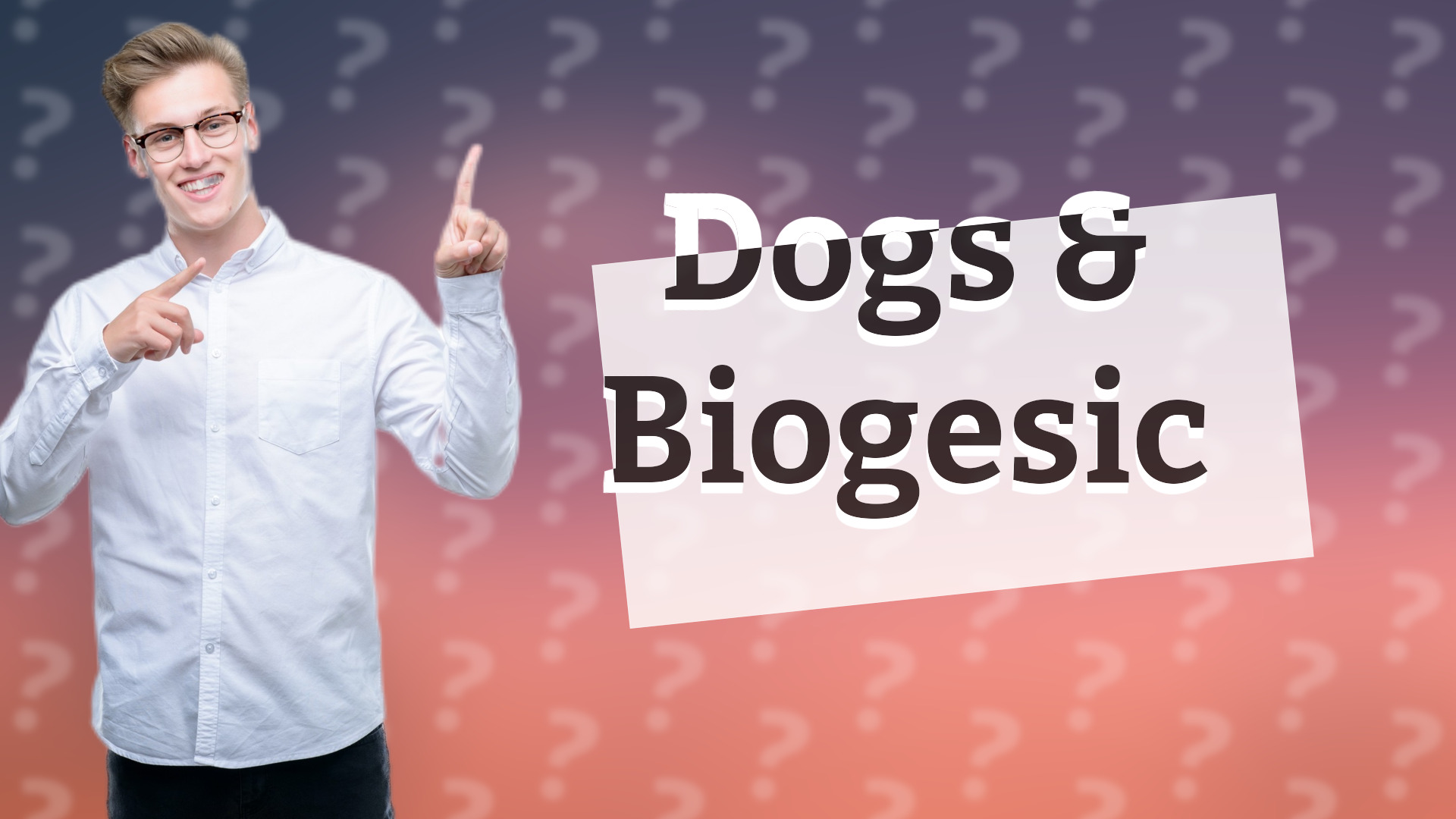 Dogs & Biogesic