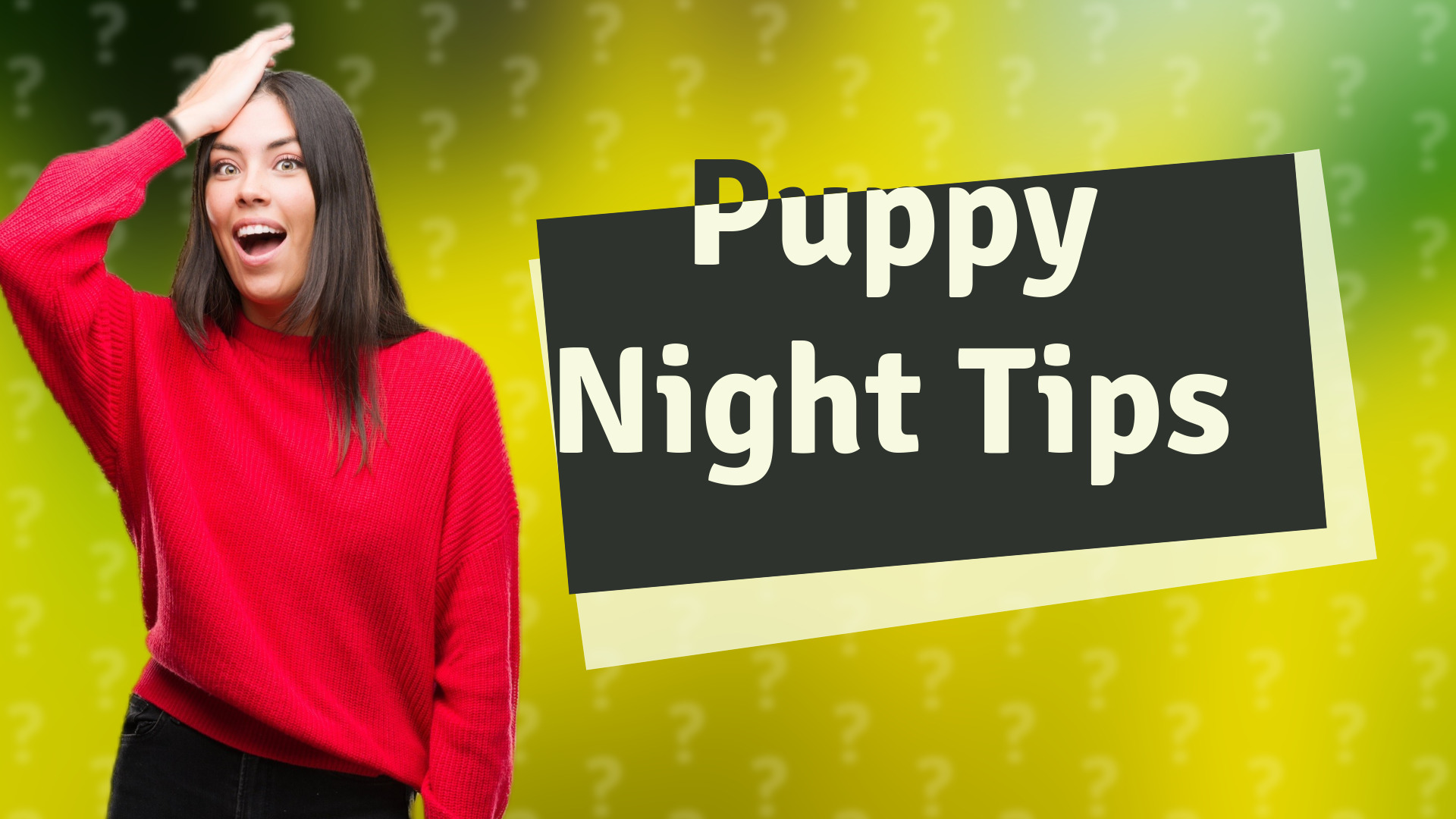 Puppy Night Tips