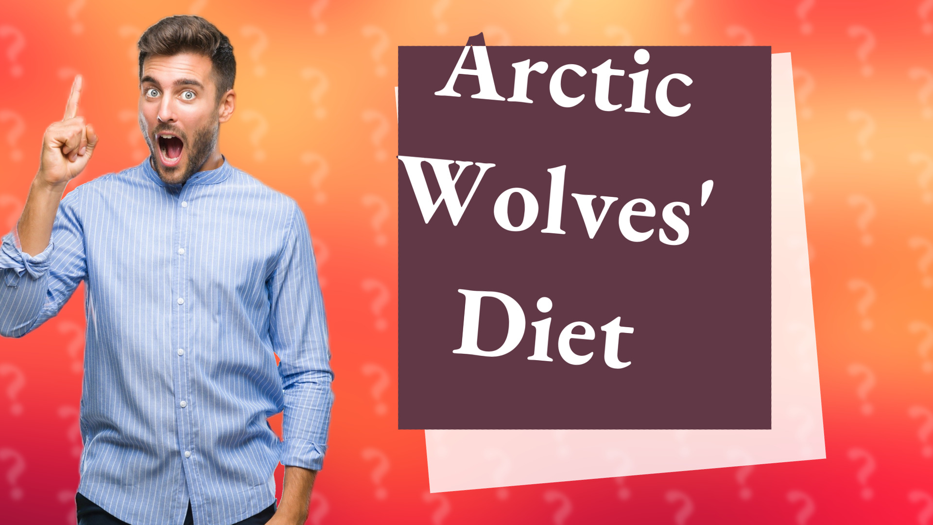 Arctic Wolves' Diet