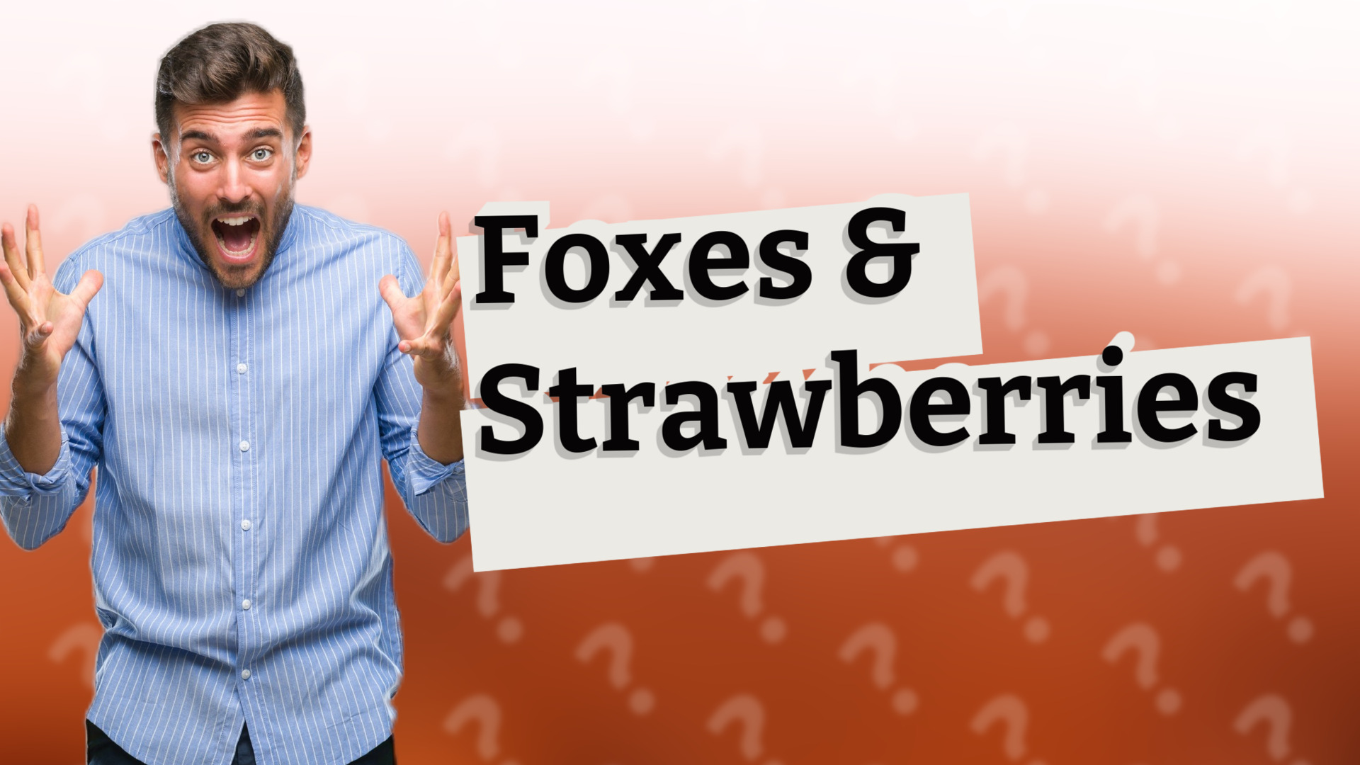 Foxes & Strawberries