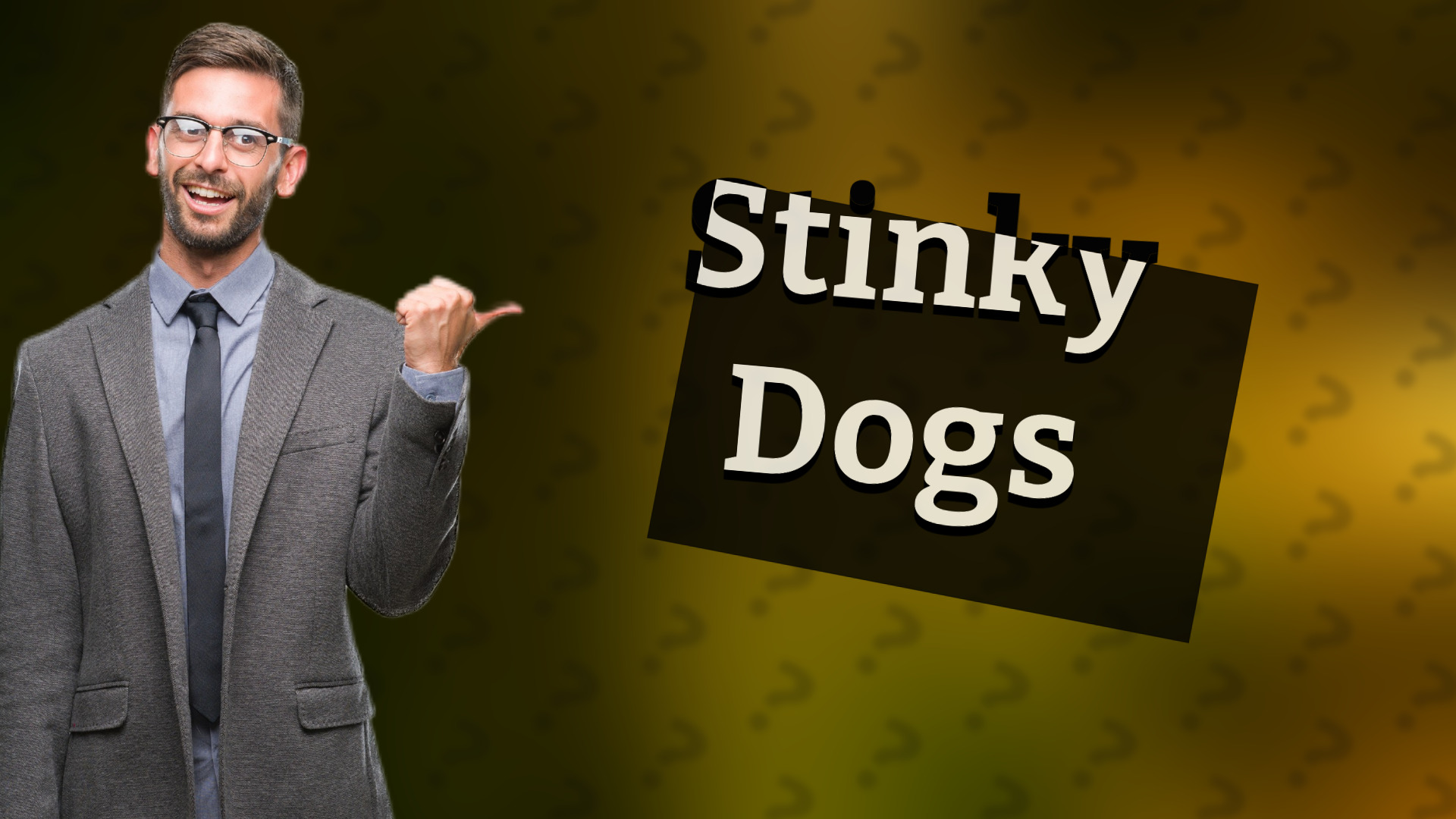 Stinky Dogs