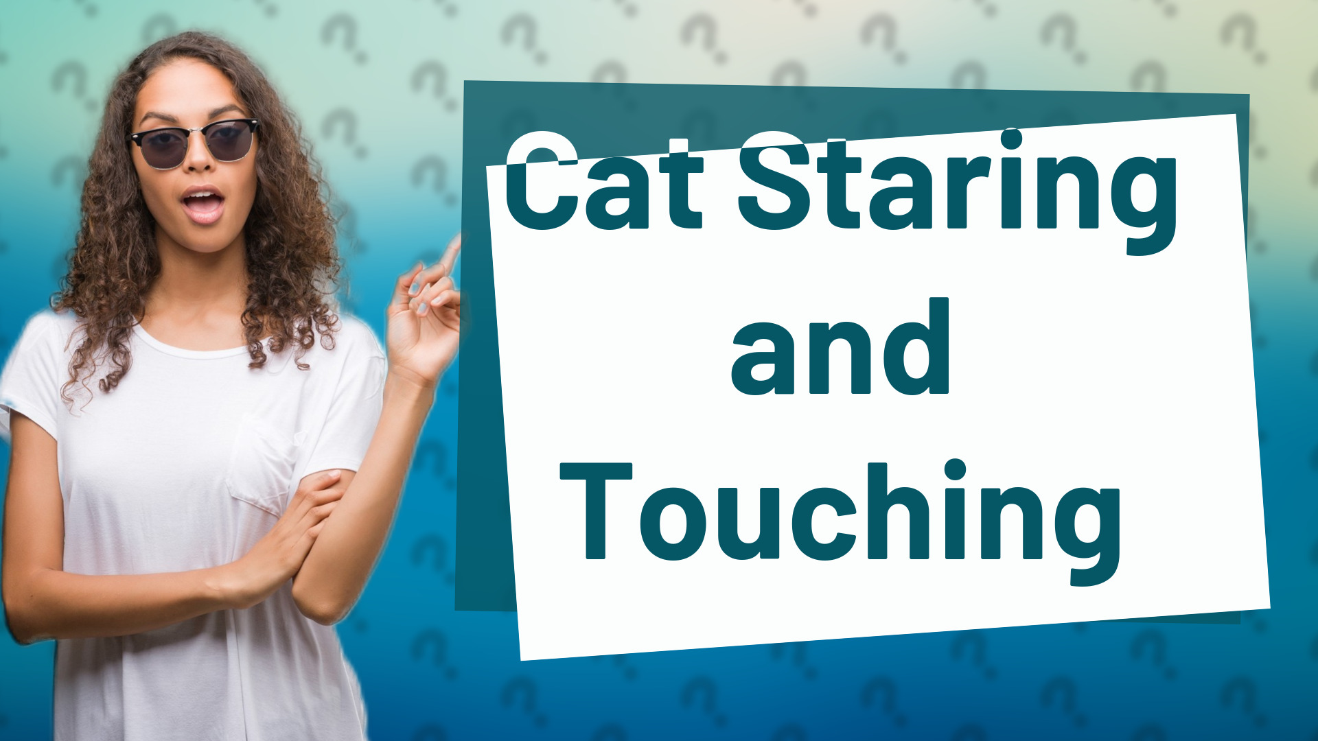 Cat Staring and Touching