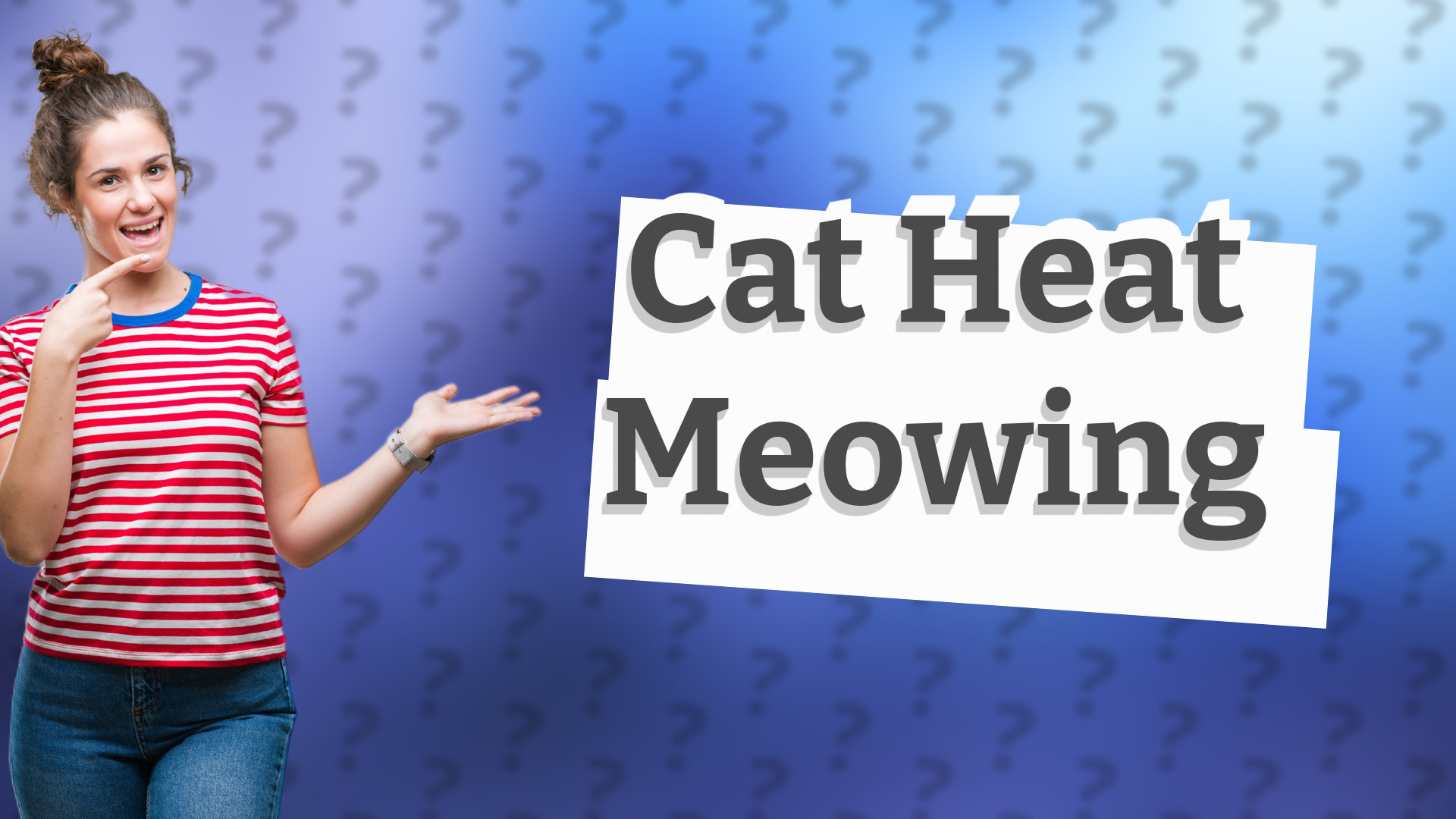 Cat Heat Meowing