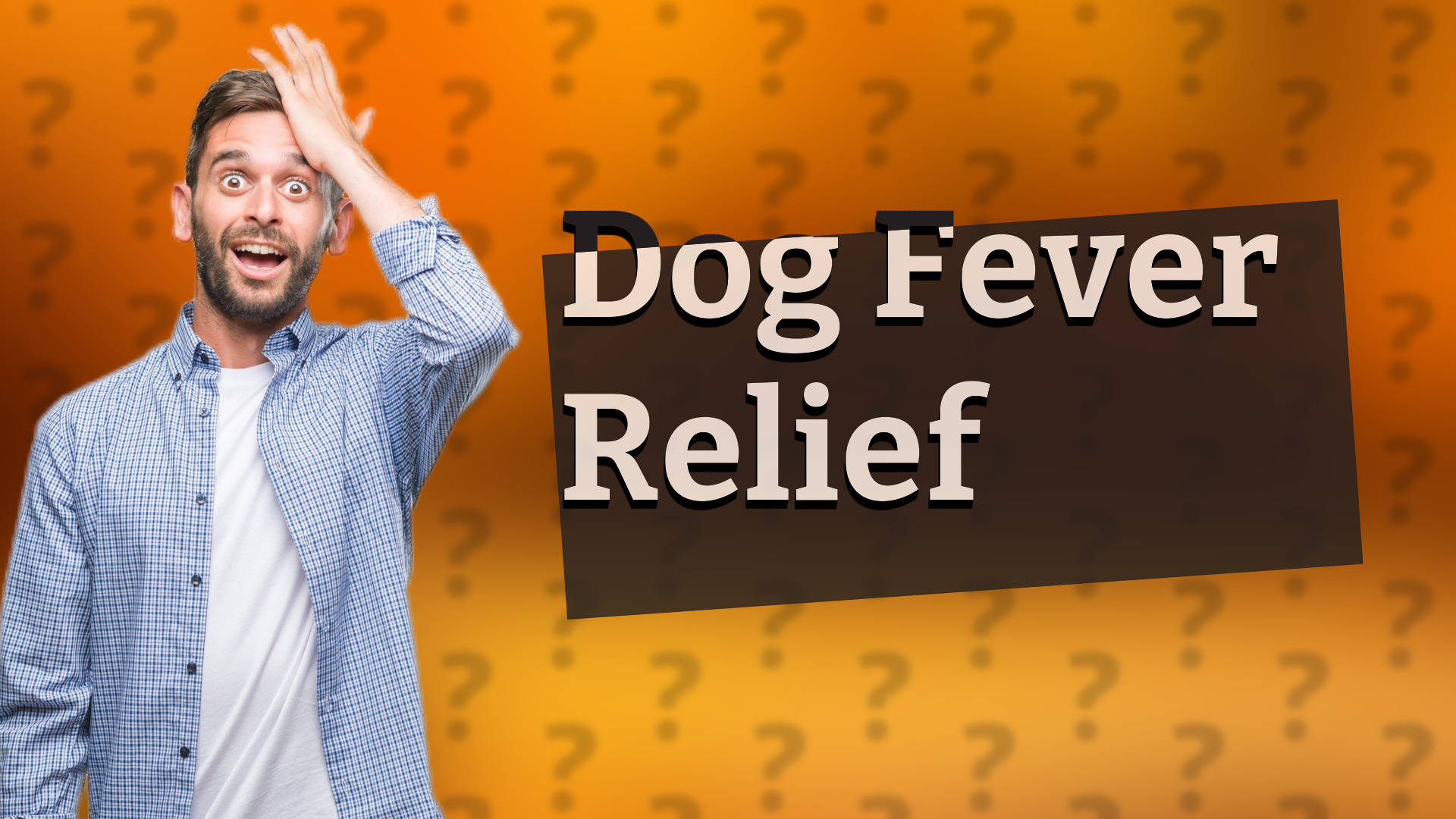 Dog Fever Relief