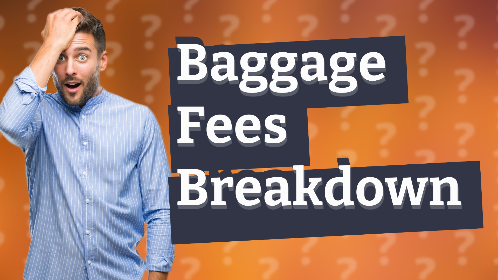 Baggage Fees Breakdown
