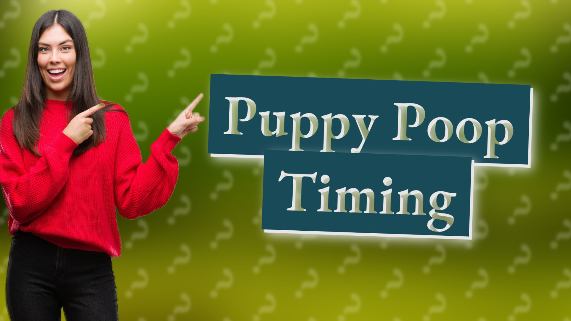 Puppy Poop Timing