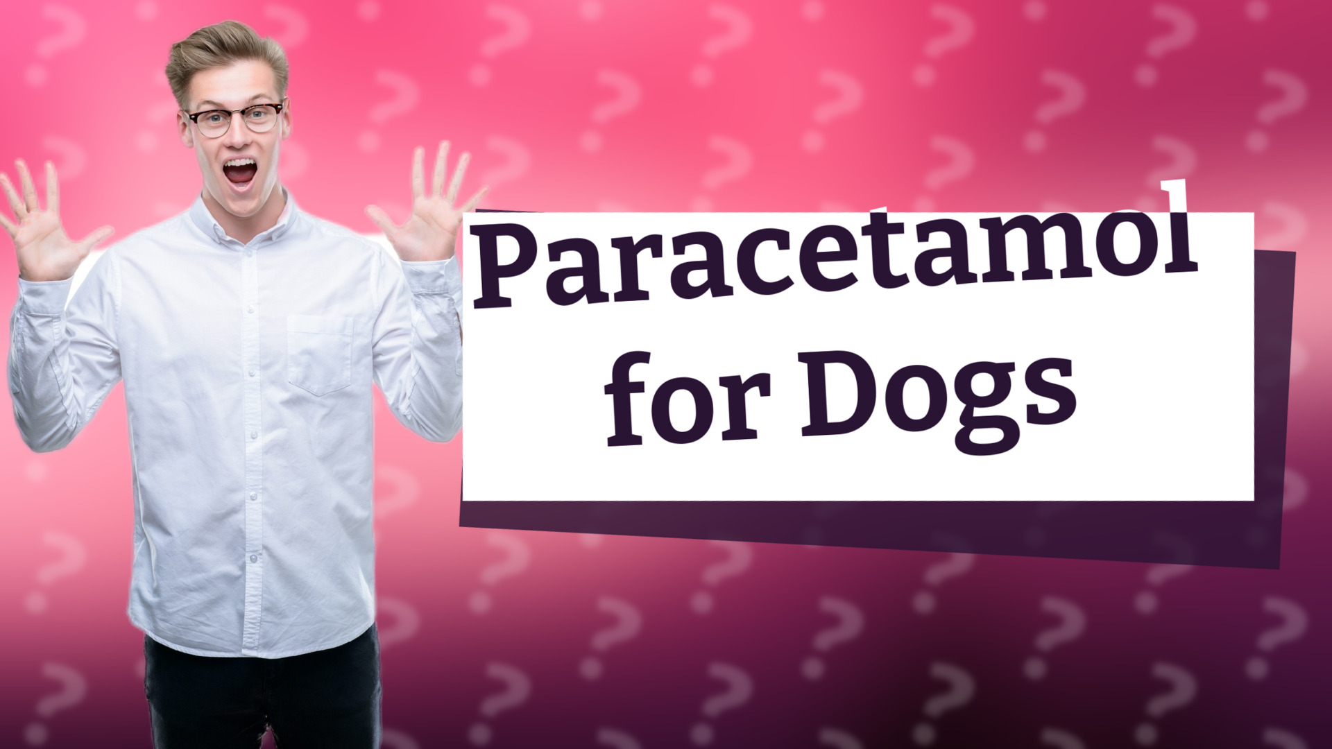 Paracetamol for Dogs