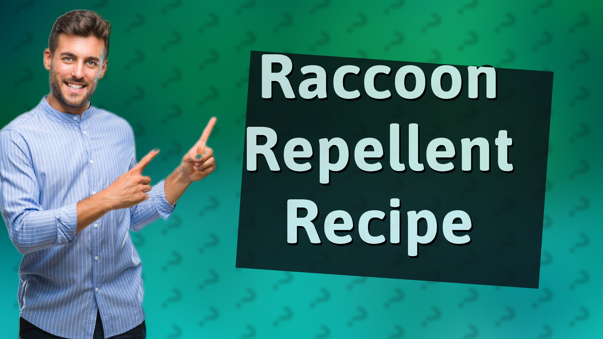 Raccoon Repellent Recipe