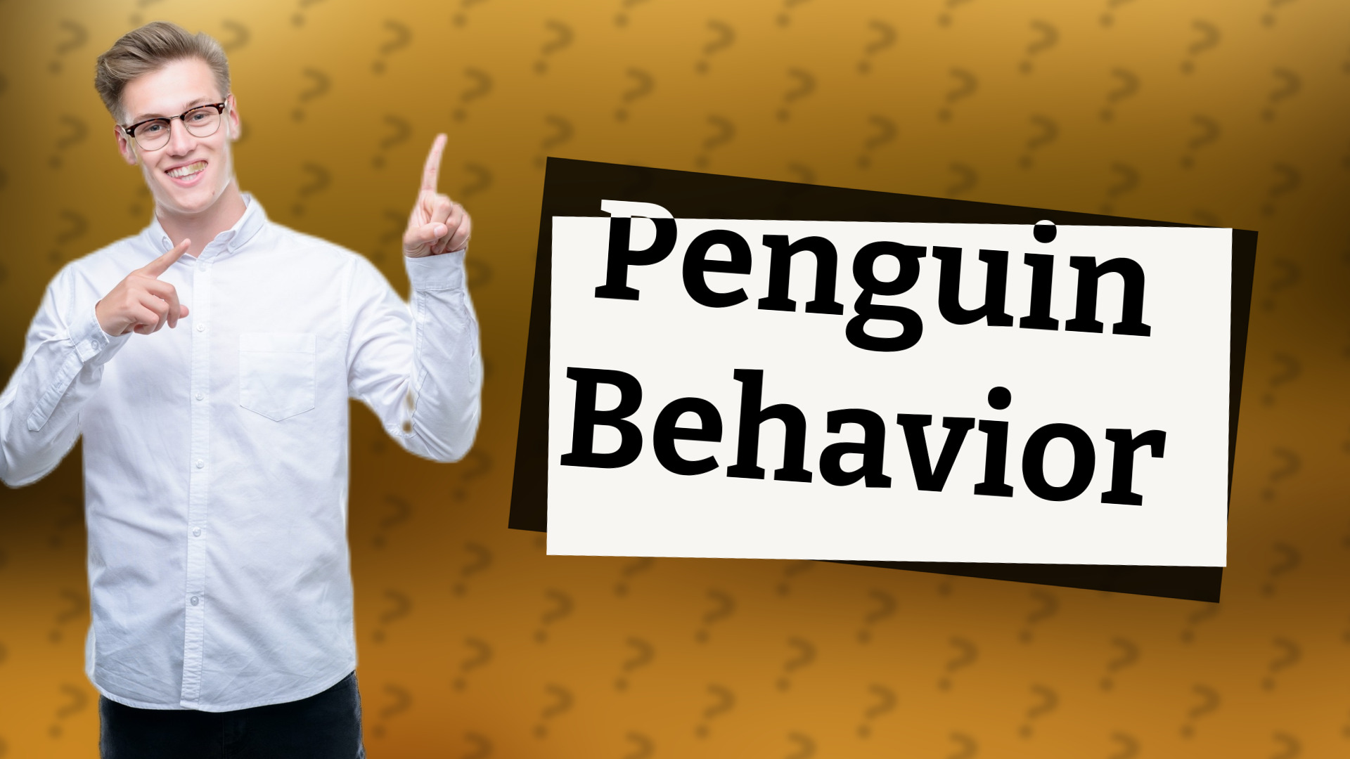 Penguin Behavior