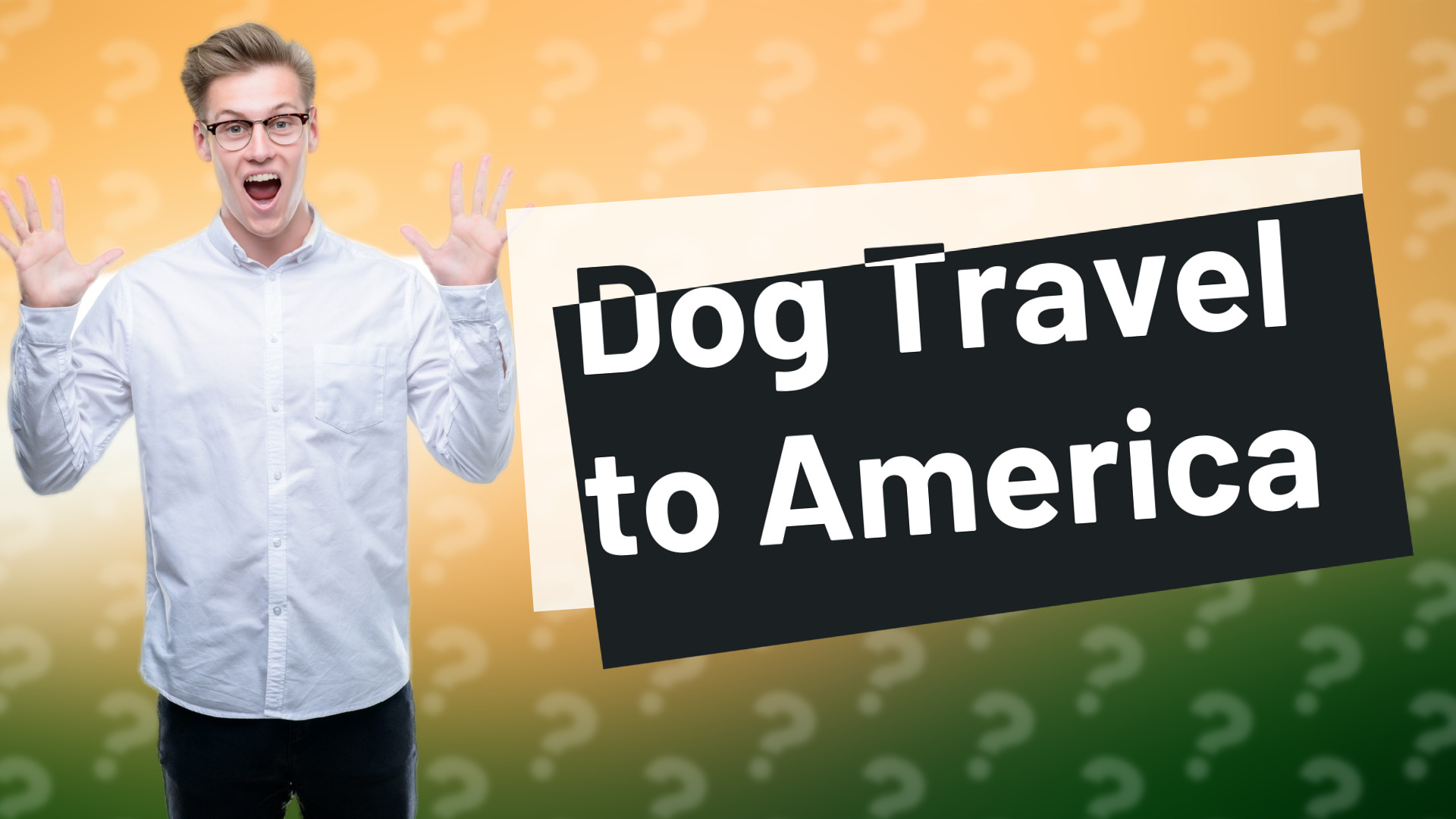 Dog Travel to America