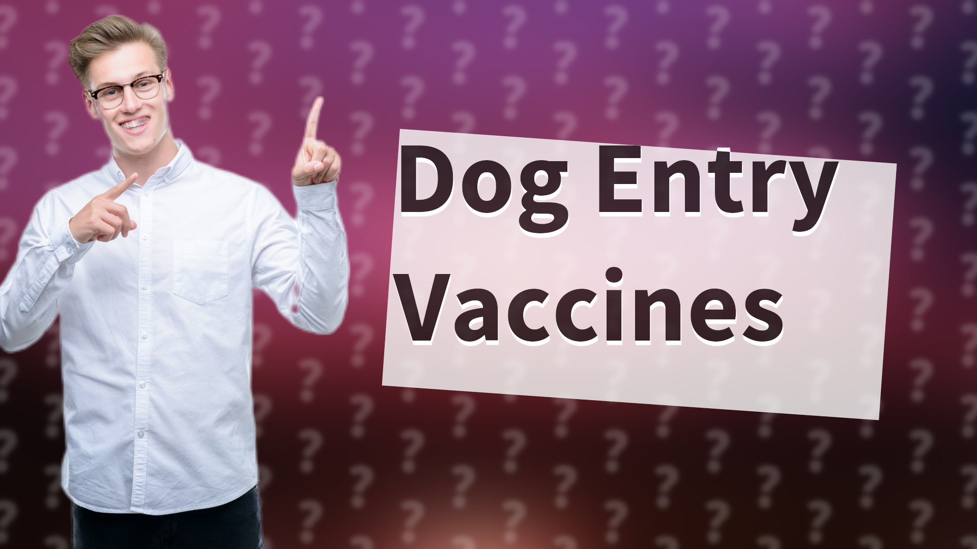 Dog Entry Vaccines