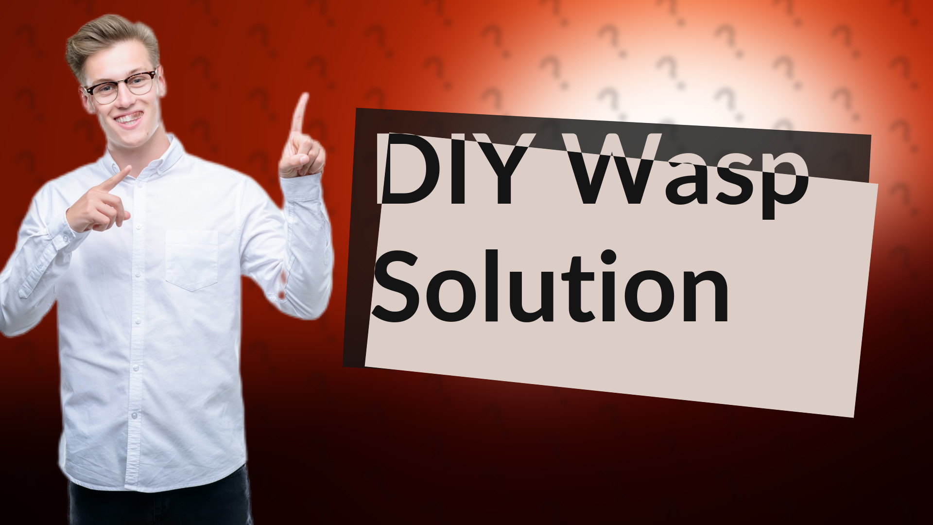 DIY Wasp Solution