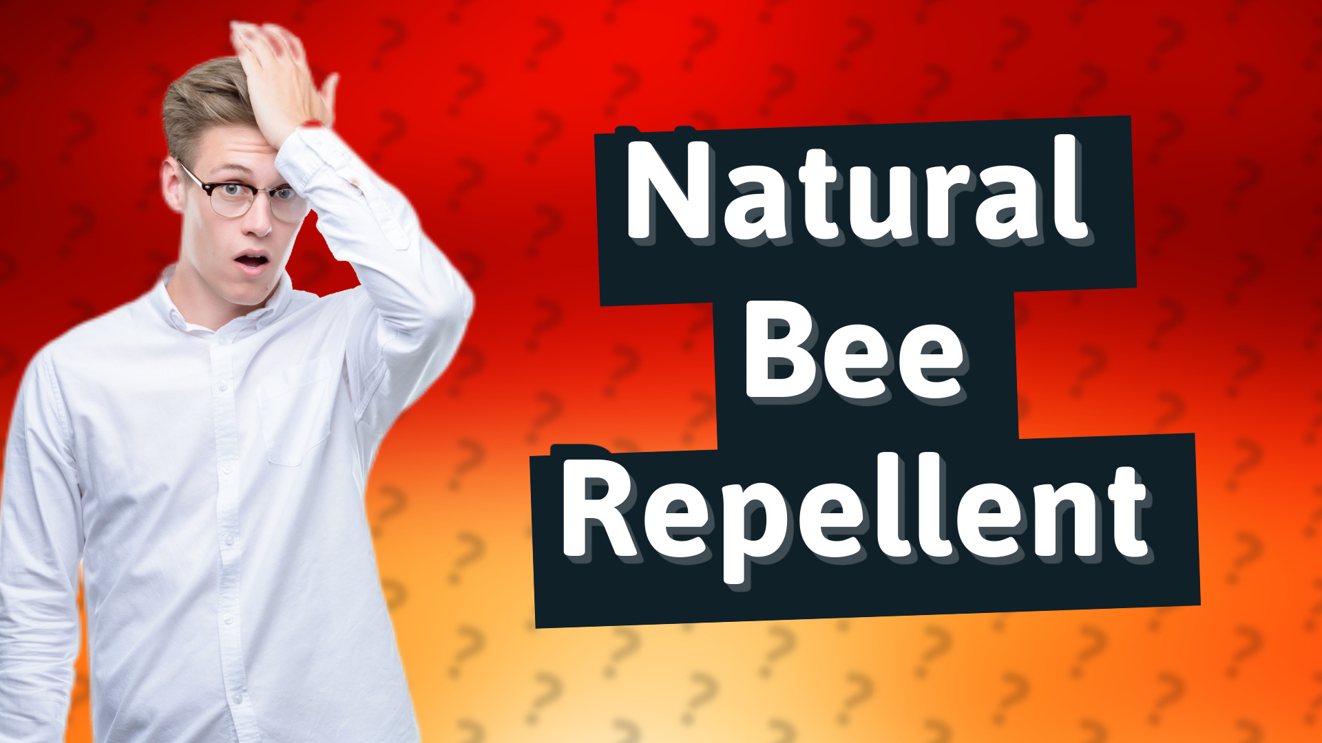 Natural Bee Repellent