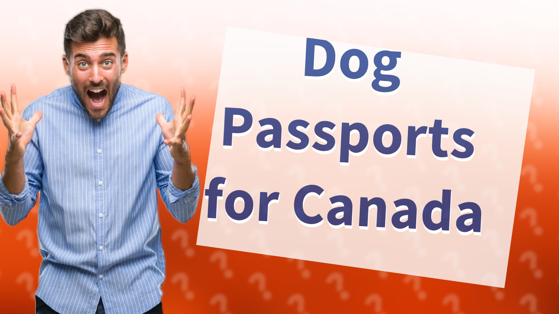 Dog Passports for Canada