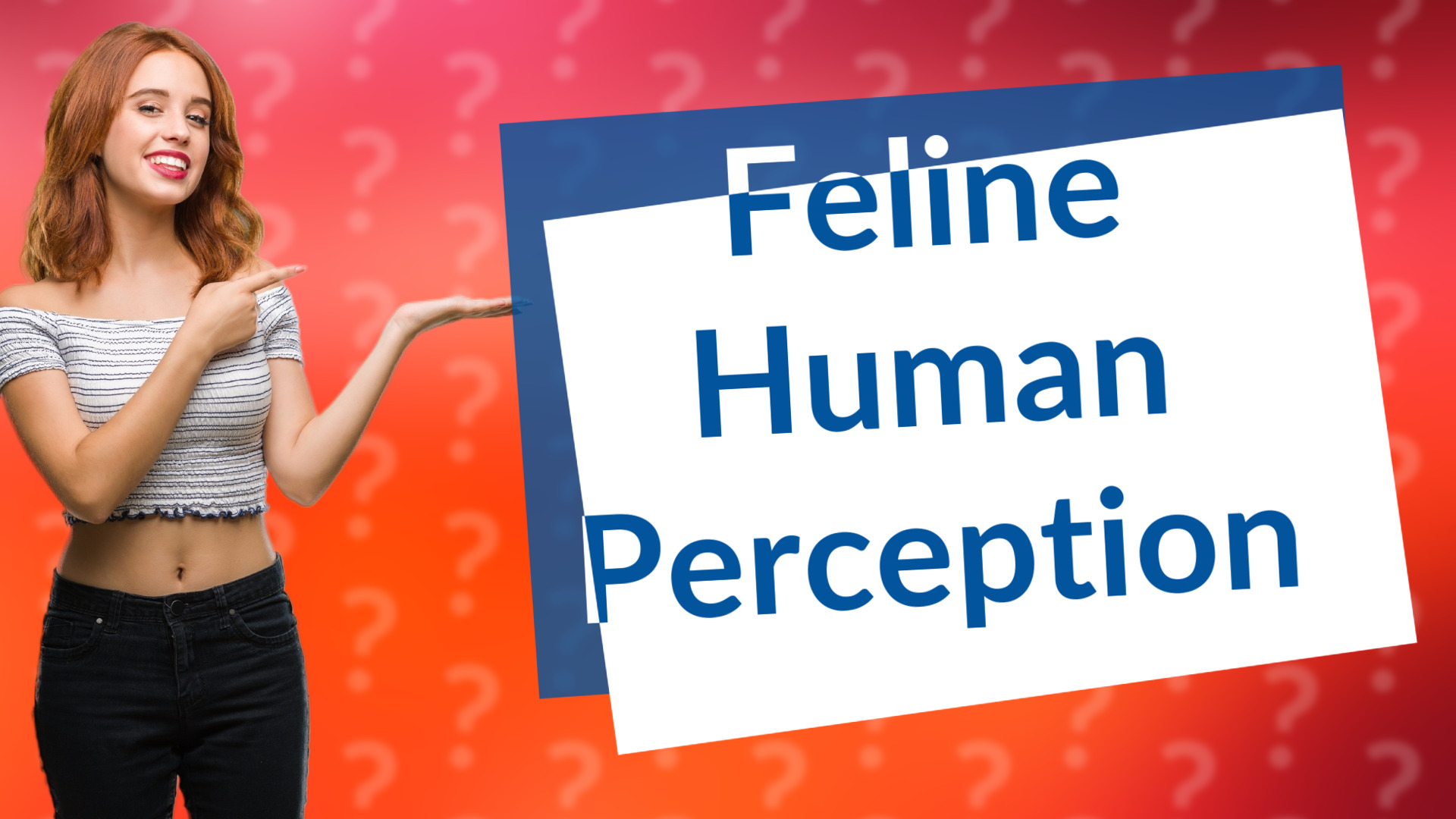Feline Human Perception