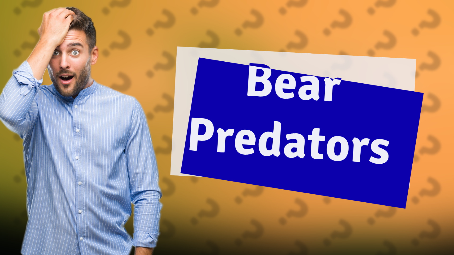 Bear Predators